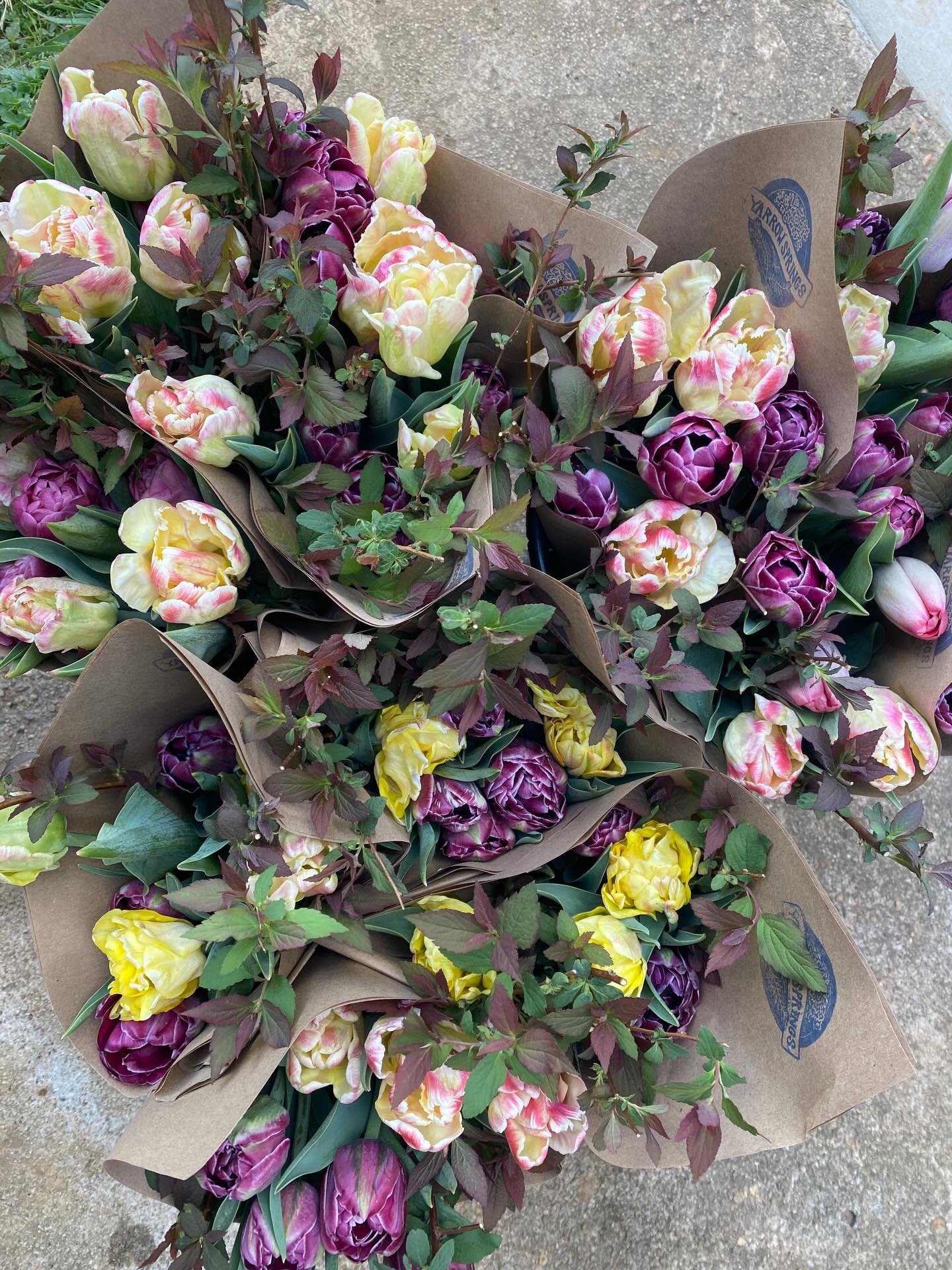 We are preppin for the @floydfarmersmarket after sneaking in a quick field planting first thing this morning!! Tulips are dwindling, but the limited bouquets are STUNNINGGGGG.  I cry 🥲. I&rsquo;m also bringing our first big round of plants!! Nasturt