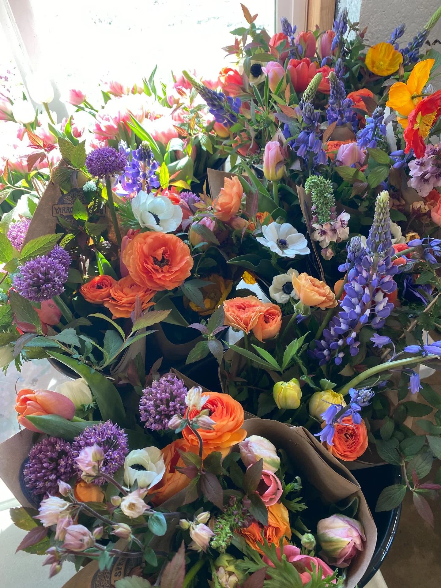 We are BACK tomorrow at the @floydfarmersmarket !! Emma Lou will be holding it down at the stand while I&rsquo;m off doing our first wedding installation of the season!  So many flowers and some GORGEOUS plants- nasturtiums, tomatoes, yarrow, lupine,
