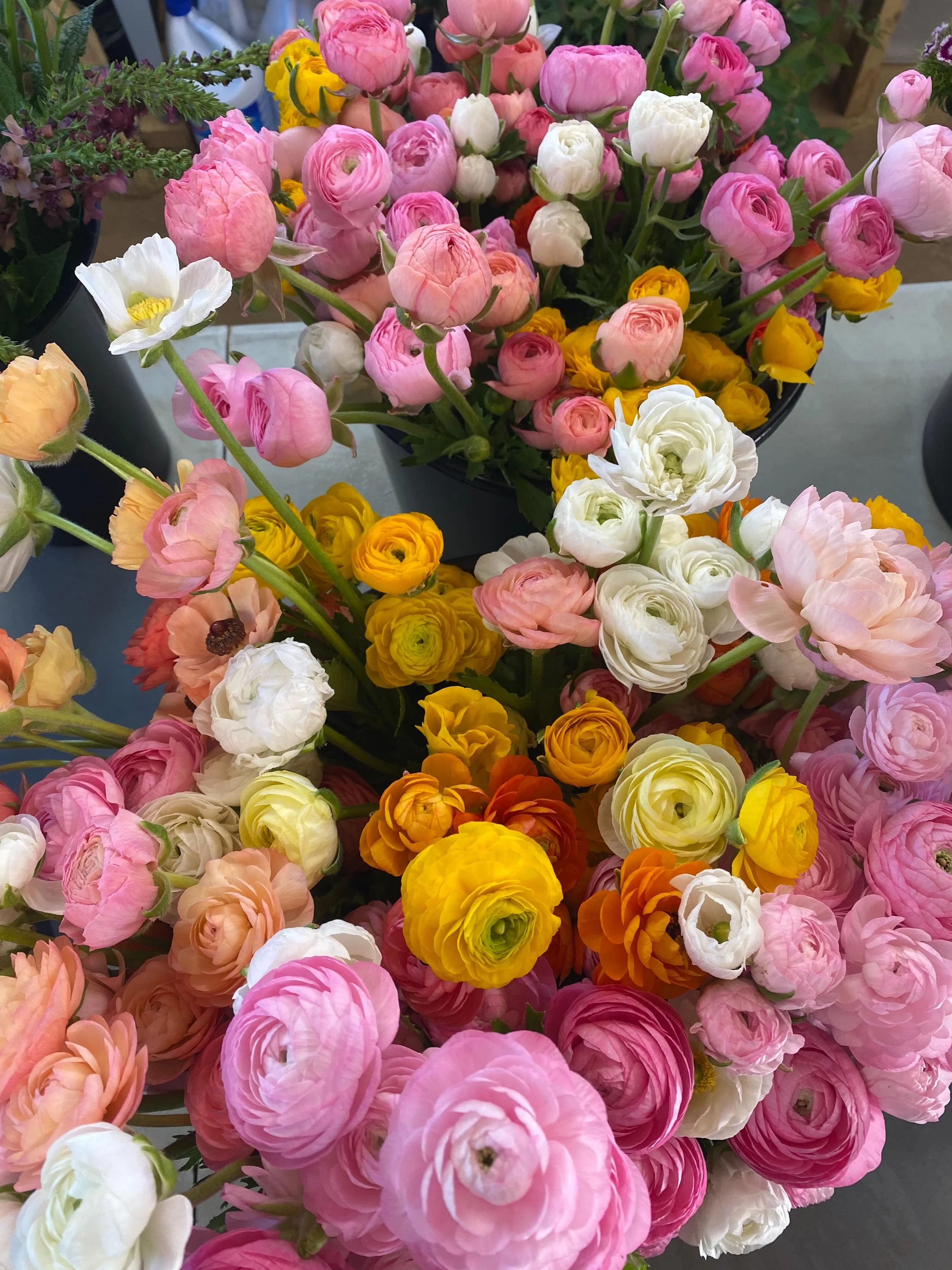 See you tomorrow at the @floydfarmersmarket !! We will have flowers, plants, dahlia tubers, and gift cards- all for your moms and mother figures.  Don&rsquo;t miss out, it&rsquo;s gonna be a gorgeous day. 🌱💕✨ #floydva