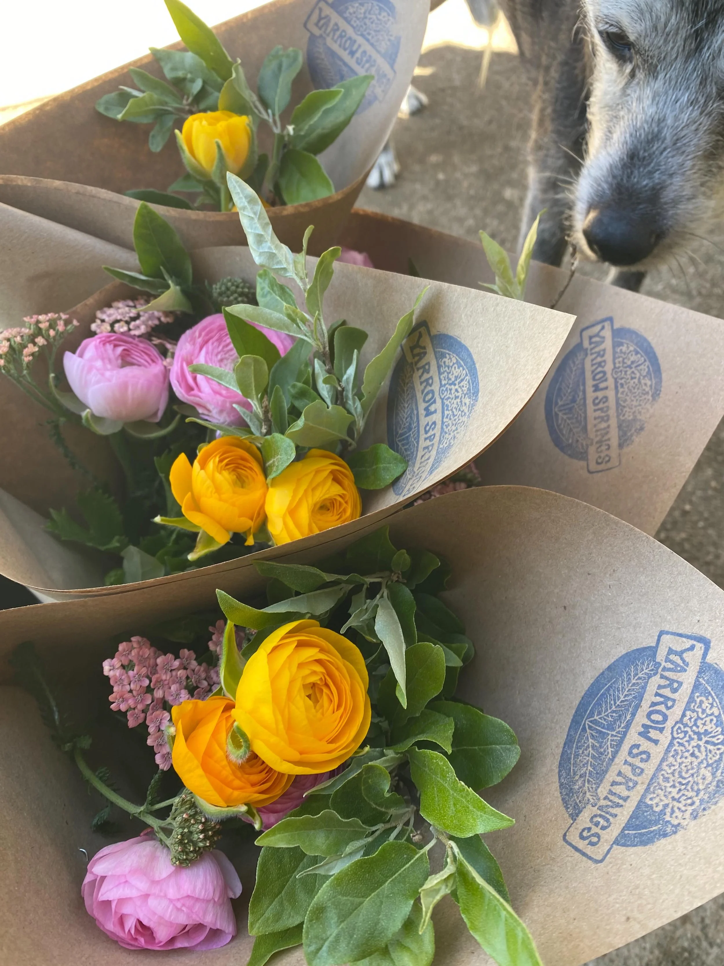 Cutie soft and romantic bouquets heading to @thefloydcountrystore tomorrow- Snag em while they&rsquo;re fresh!  We&rsquo;ll also be at the @floydfarmersmarket on Saturday.  Gonna be a beautiful day. 🌱🌸✨