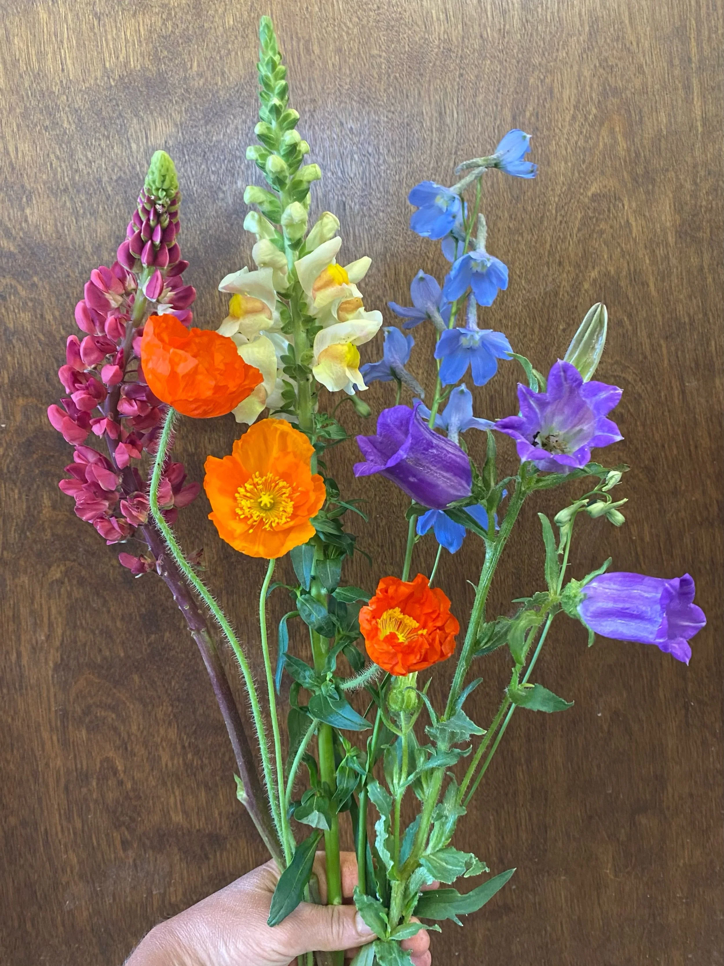 Happy Pride Month, y&rsquo;all.  I love being your local nonbinary flower critter.  This farm has been build and sustained by a sea of queer joy and creativity.  When I tell y&rsquo;all the hands that have touched this farm are from some of the most 