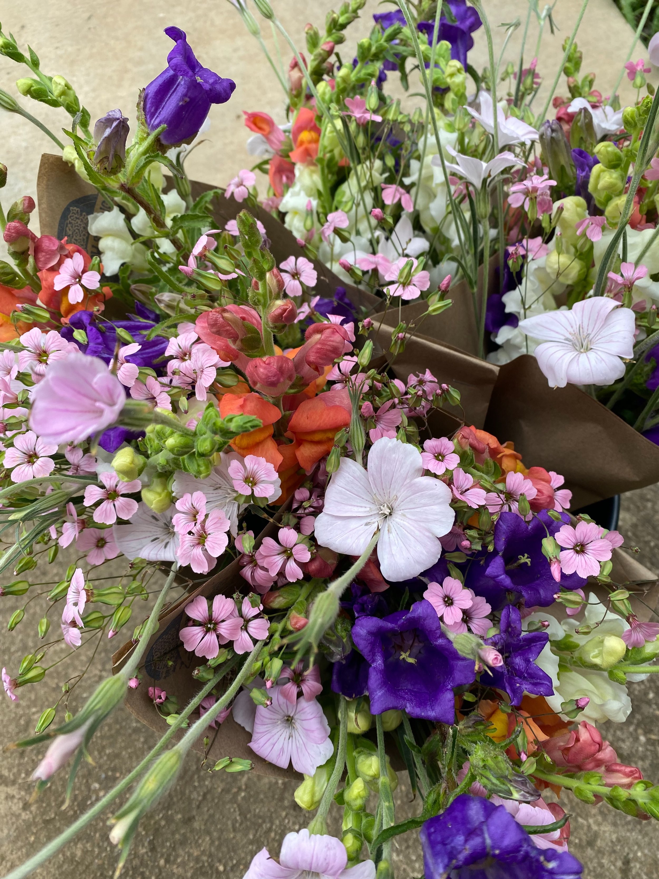 We are dropping some sparkling saponaria and snapdragon bouquets at @thefloydcountrystore tomorrow morning!  Don&rsquo;t miss &lsquo;em- holy cow they are cutie. 

ALSO- we have so many 2.5 foot tall white snapdragons, holler if you wanna place an or