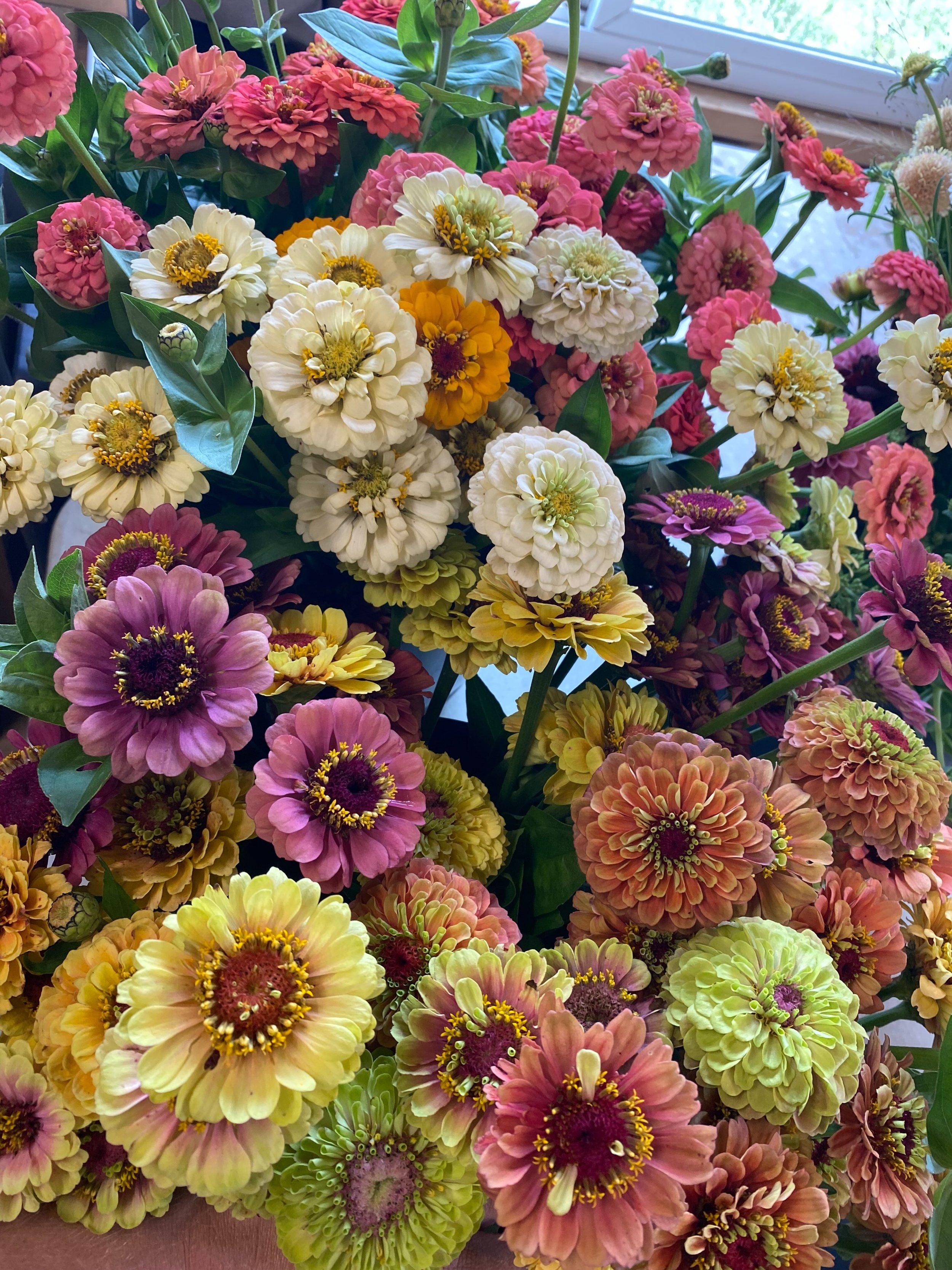 🌸WE WILL NOT BE AT MARKET SATURDAY!🌸

I&rsquo;m droppin a bunch of bouquets at @thefloydcountrystore today because we will *NOT* be at the @floydfarmersmarket on Saturday!! Swing by and snag some beauty for your week!  I&rsquo;ll also drop some ext