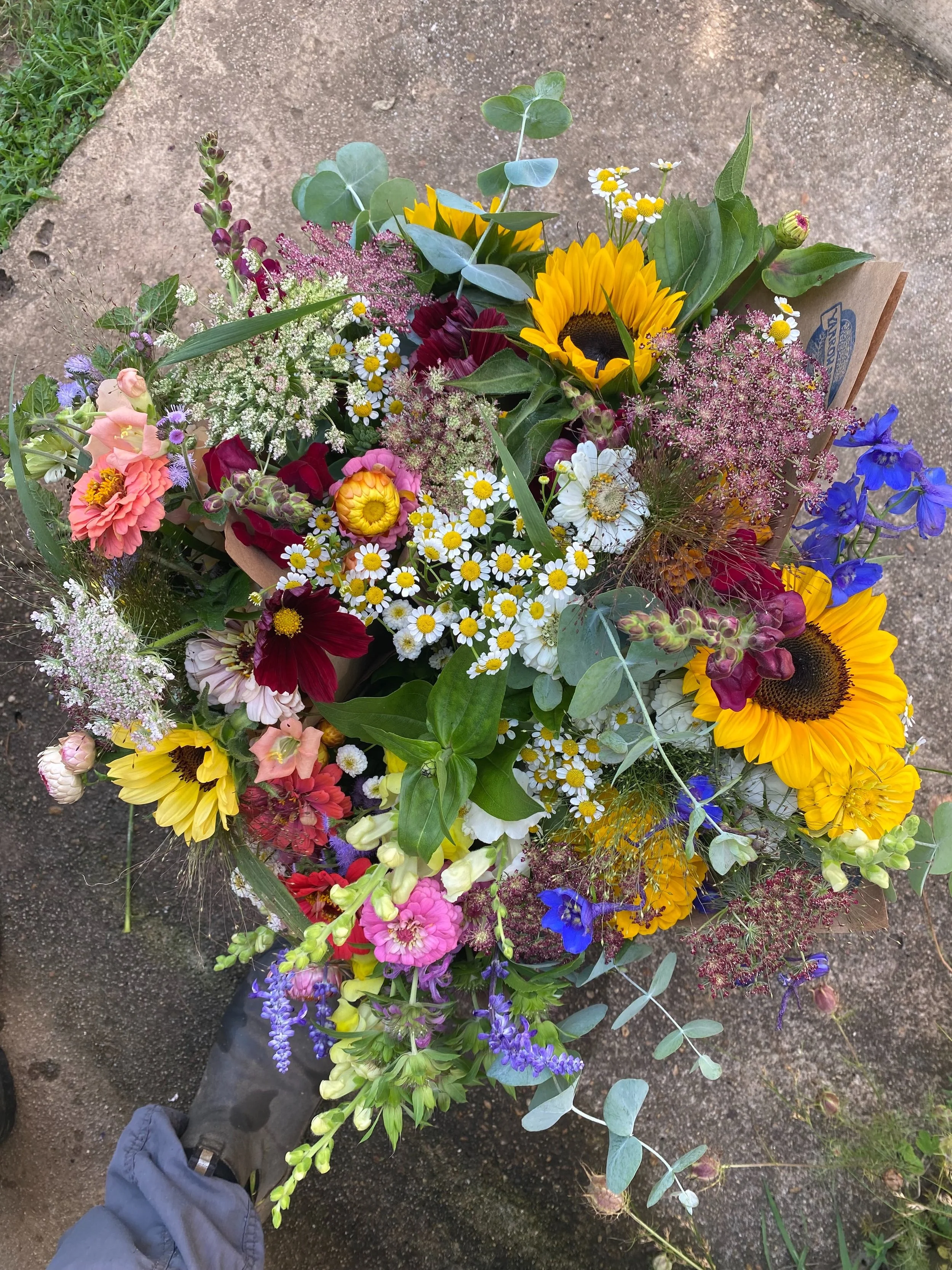 Another big flower haul this week for the @floydfarmersmarket !! The flowers are officially SUMMER.  Lots of sunflowers and the first zinnias with vibrant blue delphinium and amazingly scented eucalyptus.  All grown and arranged by us. 🥲  See ya in 