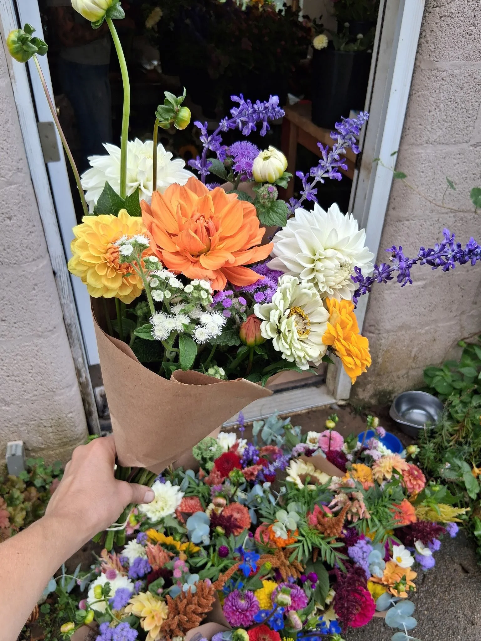 DAHLIAS ARE HERE!!! Come to the @floydfarmersmarket tomorrow morning and snag some magic! Emma and Lindsey made some STUNNERS while I picked and finished wedding work.  See you in the morning! 🌸🌿✨ #floydva