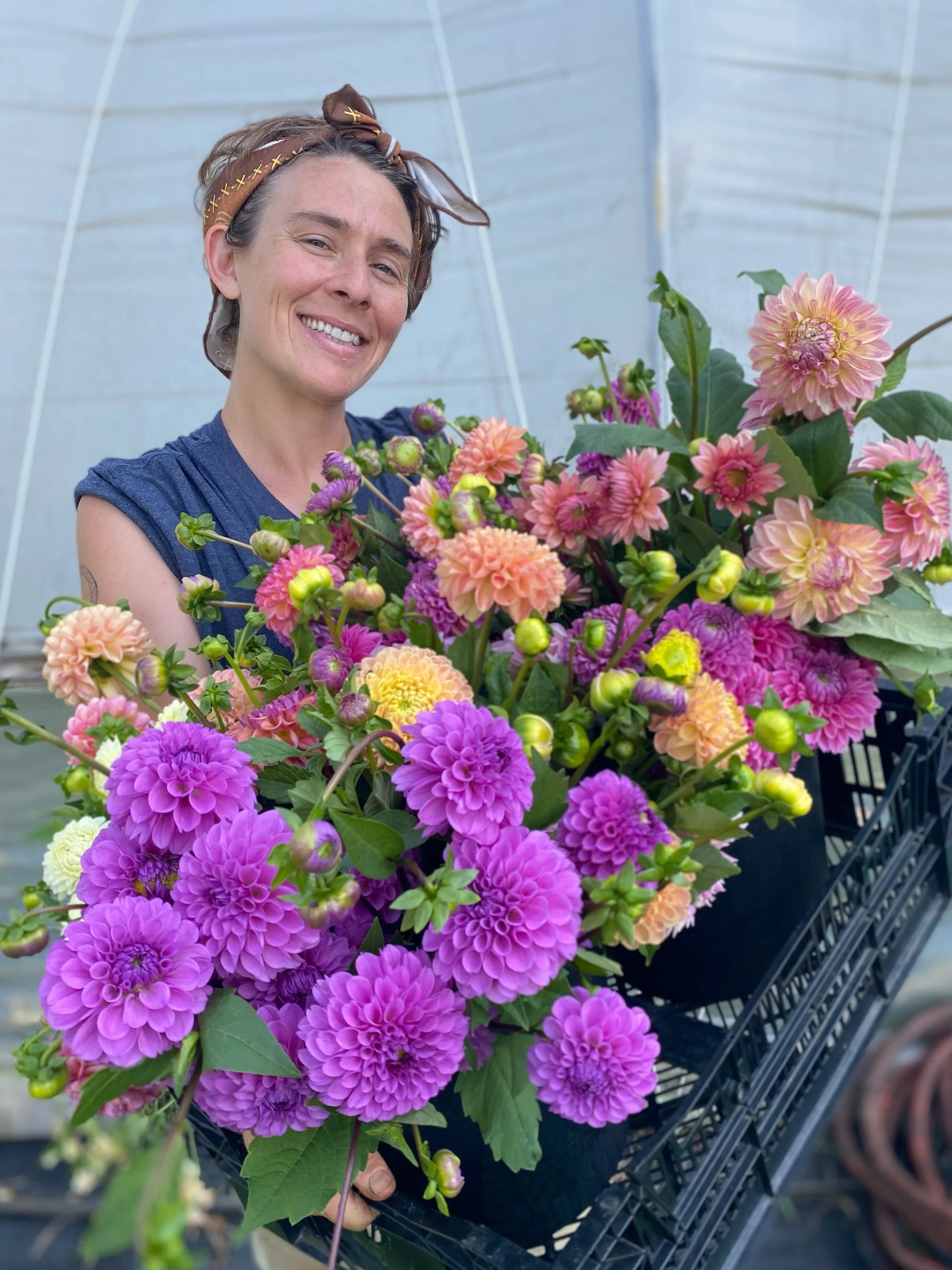 A dahlia love story. 💕 Find these beauties Wednesday at @thefloydcountrystore and Saturday at the @floydfarmersmarket . 🌸🌿✨ #floydva
