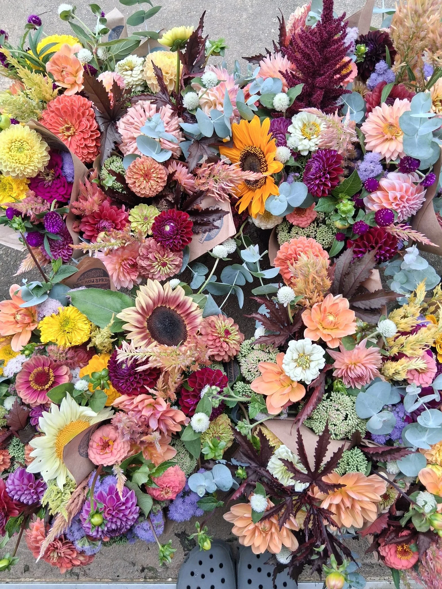 The flowers for the @floydfarmersmarket tomorrow morning are so fun and lovely.  Don&rsquo;t miss em- see ya there! 🌱 #floydva