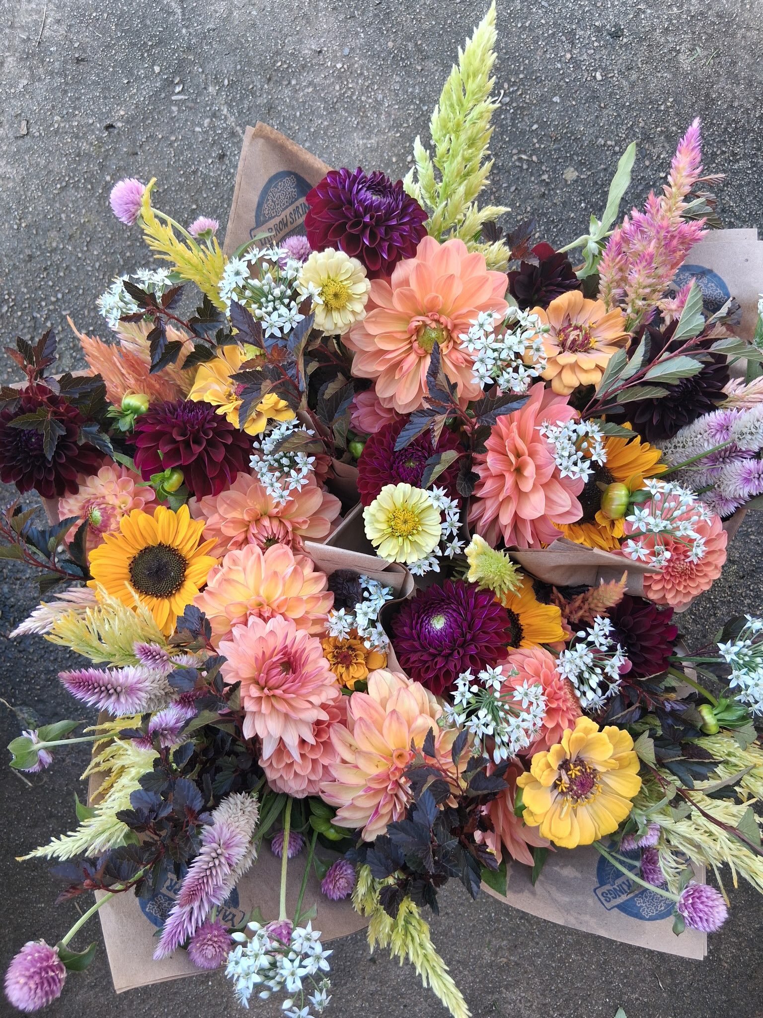 Some pretty serious magic heading to the @floydfarmersmarket tomorrow, y&rsquo;all!! Including the majestic celosia brain debut &hearts;️. Emma crushed the bouquet making this morning- swing by and snag the beauty!! See ya tomorrow. 🌱✨ #floydva