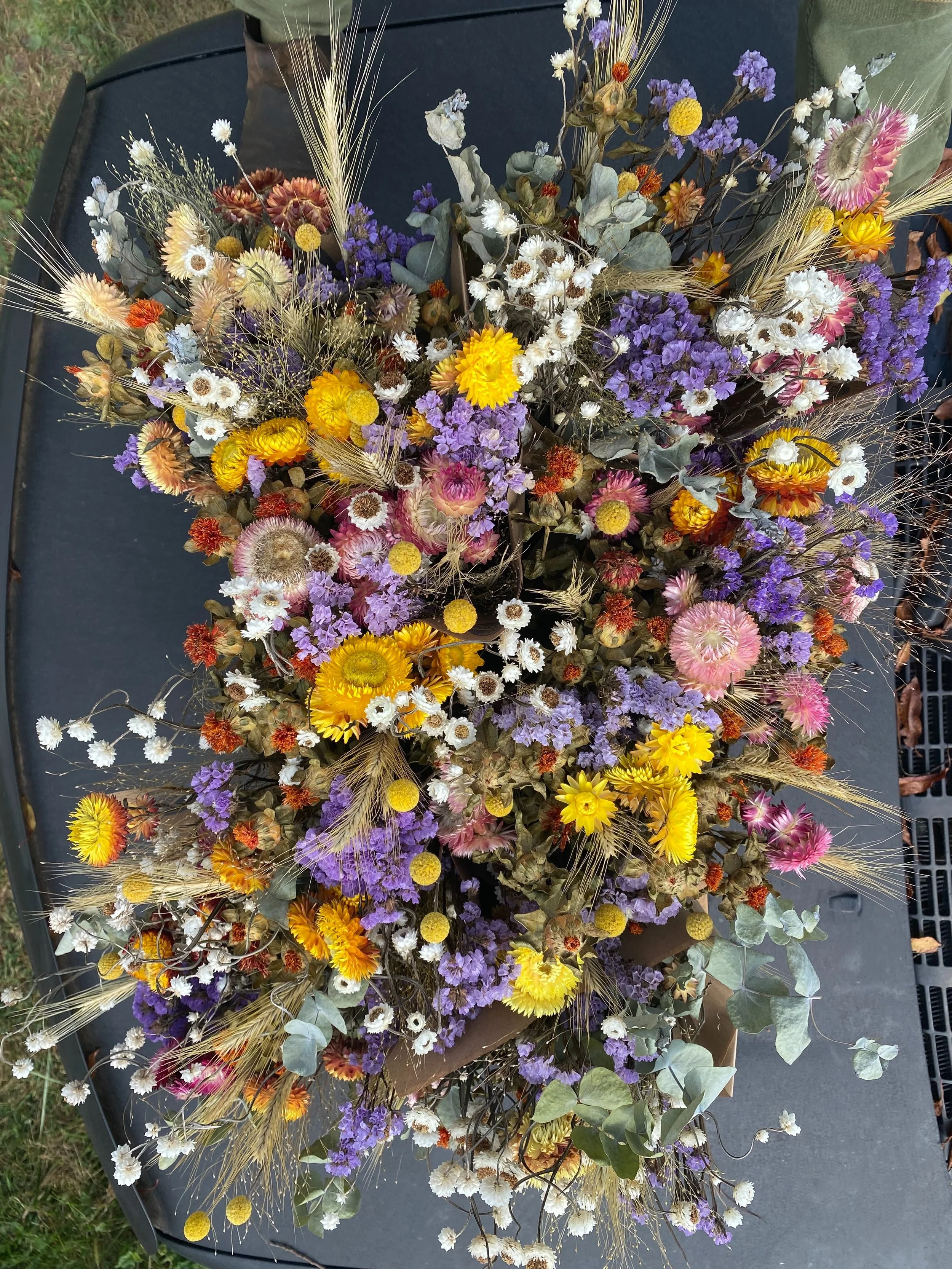 DRIED FLOWERS COMING AT YA TOMORROW!! 
Swing by the @floydfarmersmarket tomorrow morning and snag the first dried flower bouquets of 2026!  Oh, and some fresh babies too. 😎 Emma and Lindsey made some amazing designs for yall while I picked dahlias a