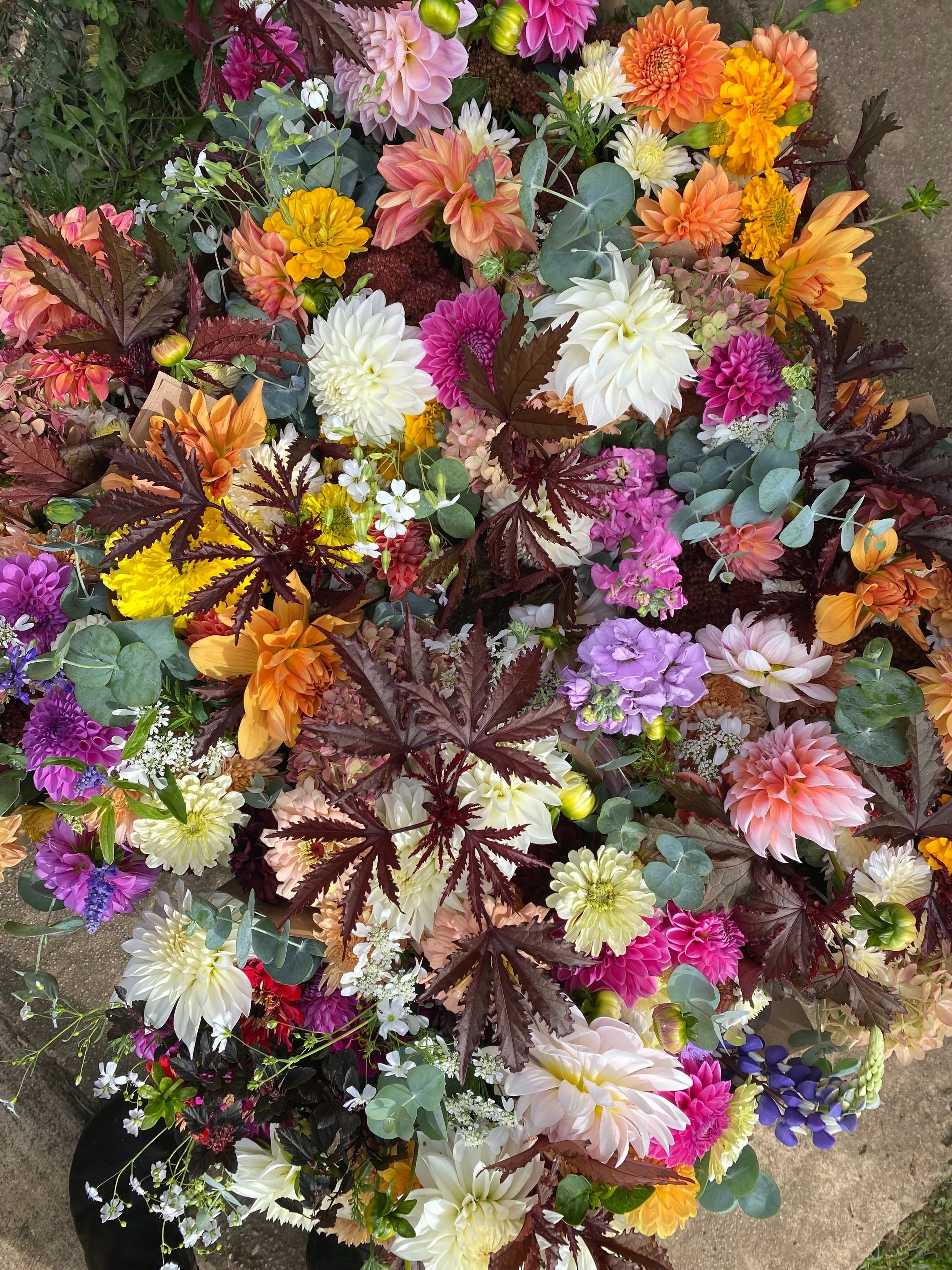 Fall is here and the colors are 🍁💛🌾
All of this autumnal magic will be waiting for you at the @floydfarmersmarket in the morning!  It&rsquo;s lookin like frost next weekend, and we are likely skipping 10/17 market to take a beat before jumping int