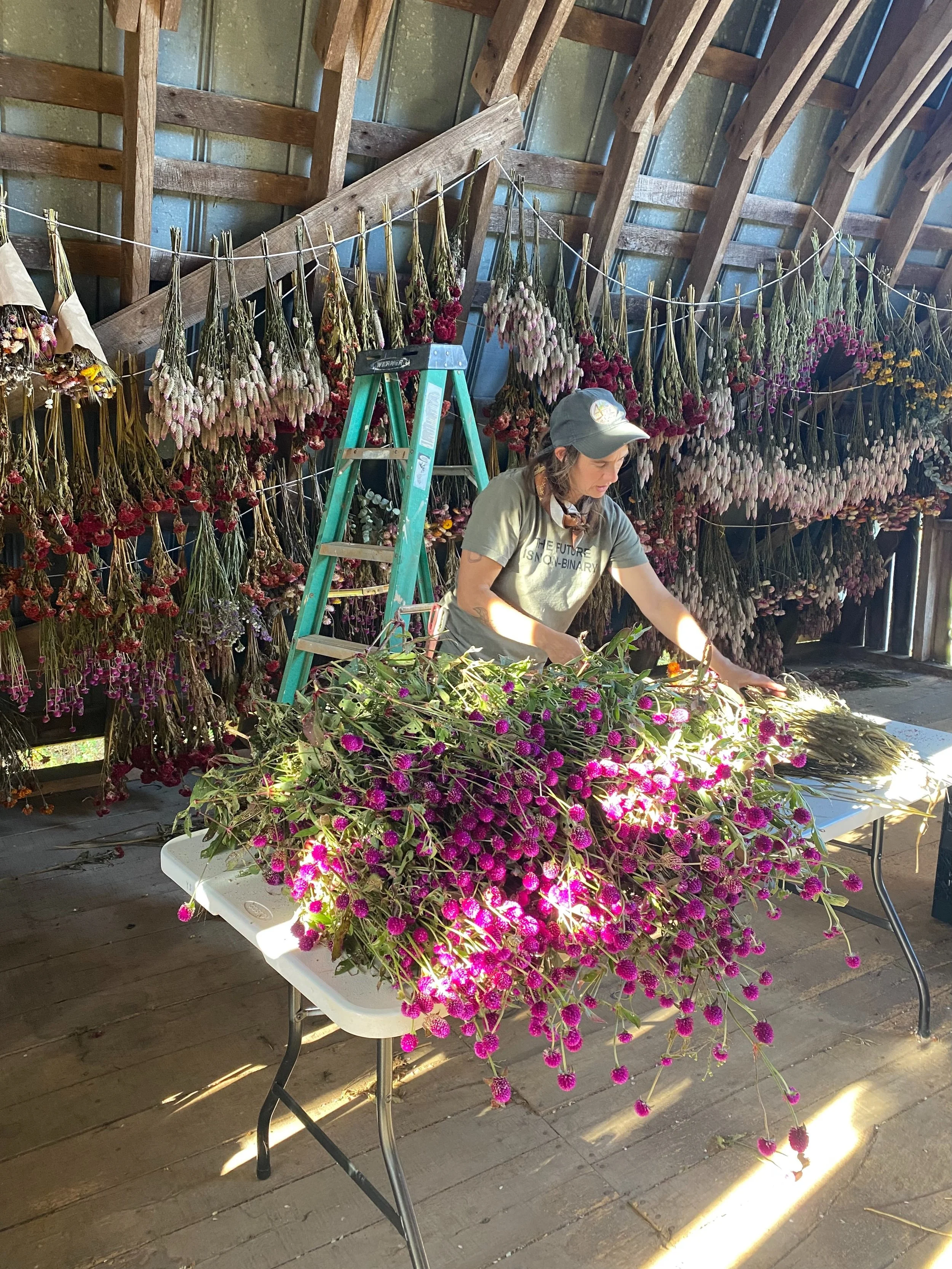 We are expecting frost this weekend and are really leaning into dried flower land over here!  Emma and I picked and hung some of the final goodies today, then made some bouquets to take to @thefloydcountrystore on Wednesday.  Wreath making is on the 
