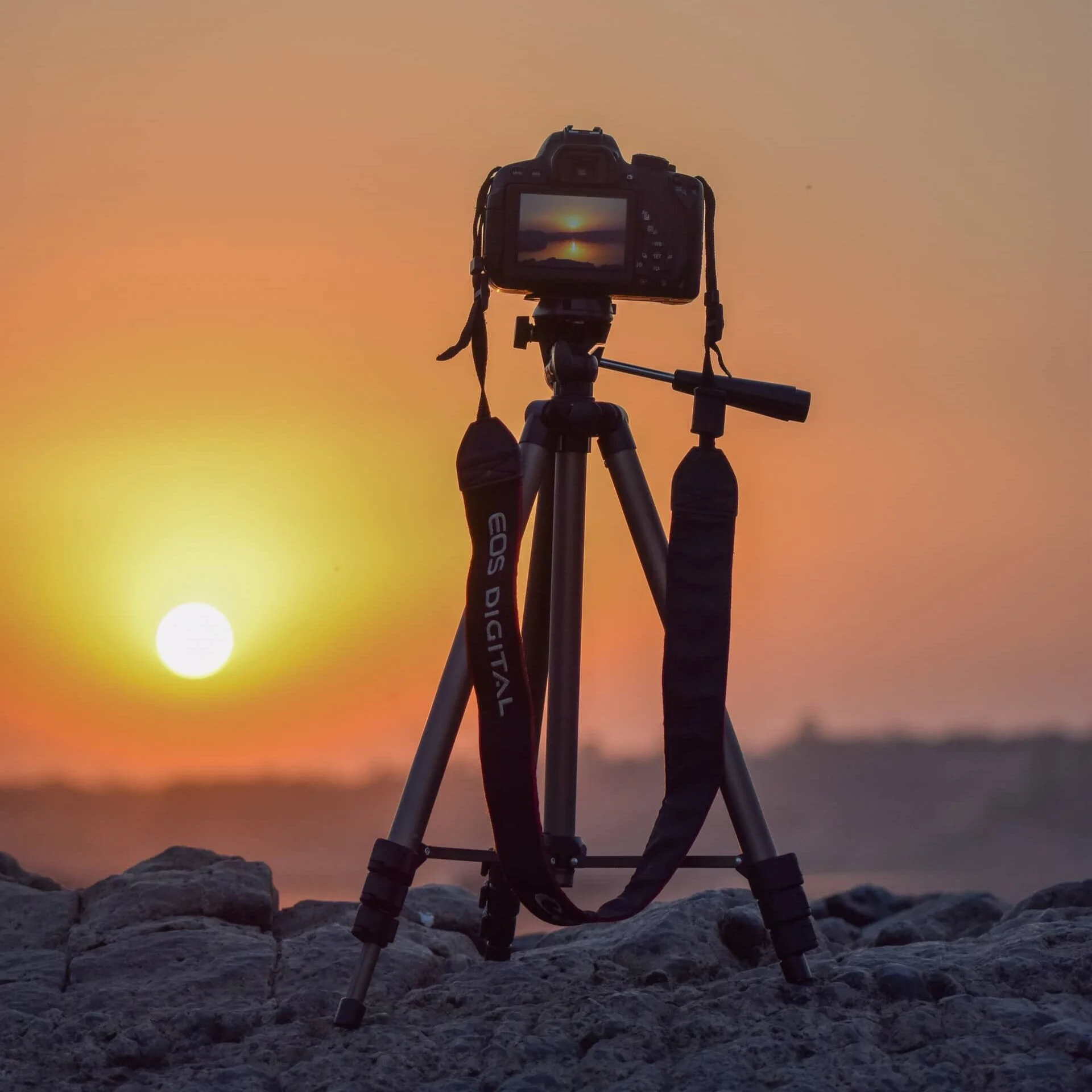 Top 5 best bewertete Kamerastative für Fotografen