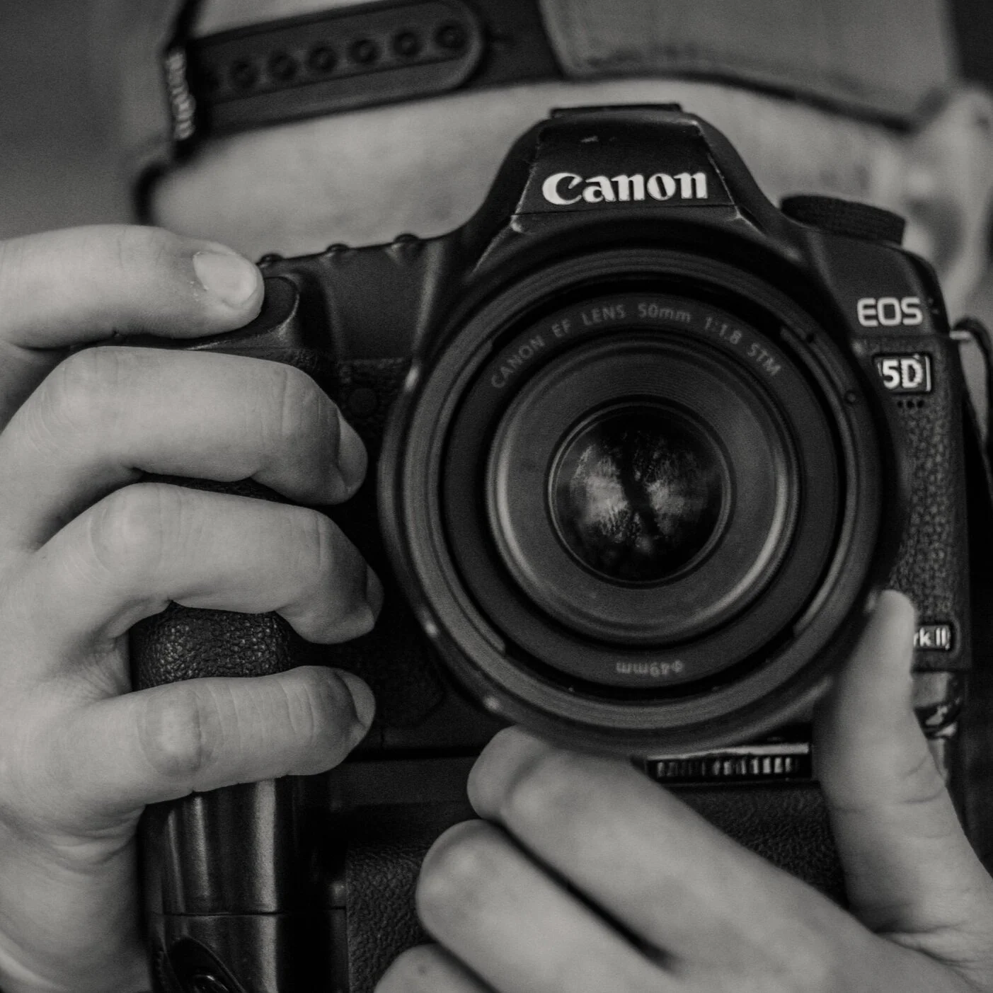 Unterschiede zwischen Spiegelreflex zu spiegelloser Systemkamera - DSLR vs DSLM