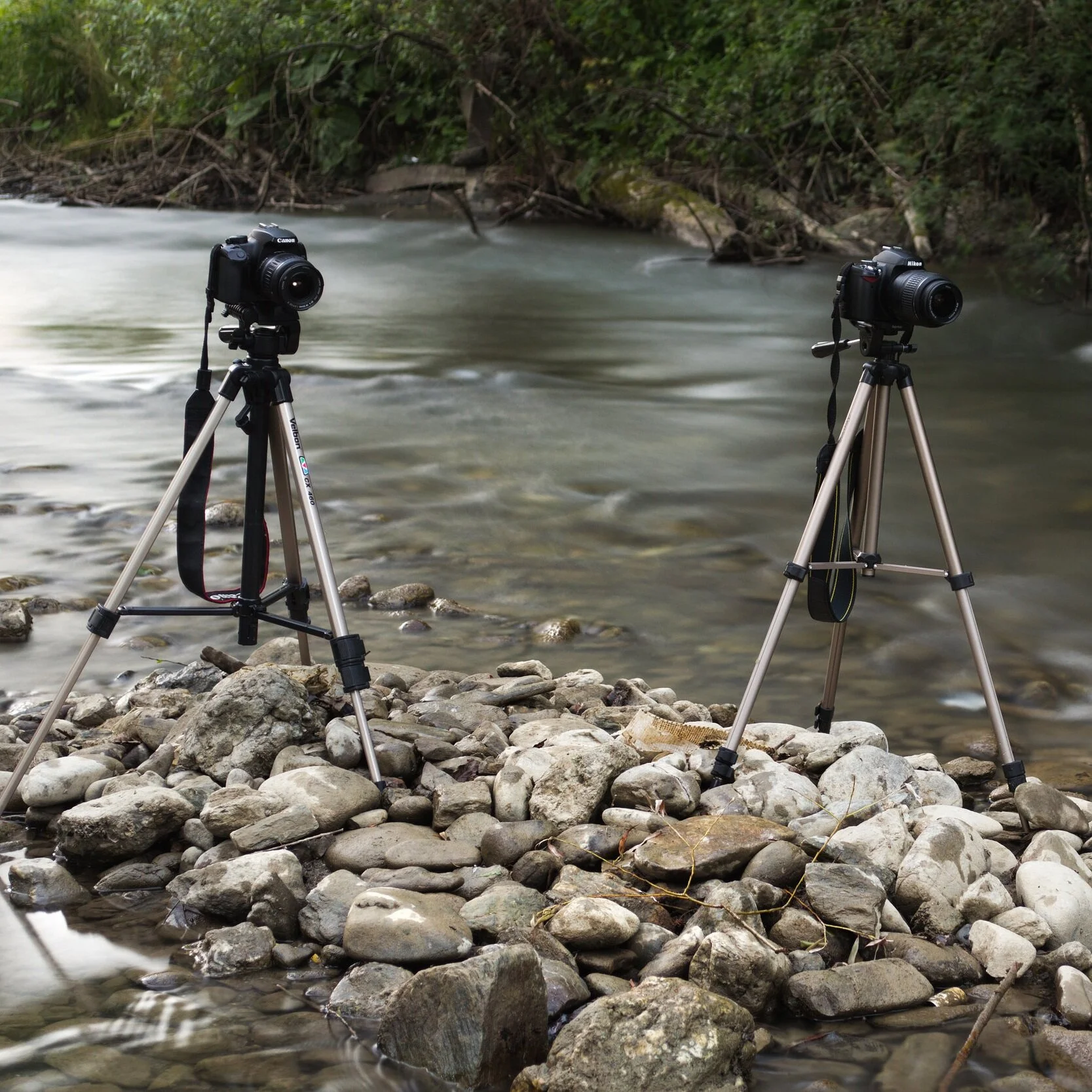 AmazonBasics vs Neewer Stativ - Vergleich der günstigen Amazon Bestseller