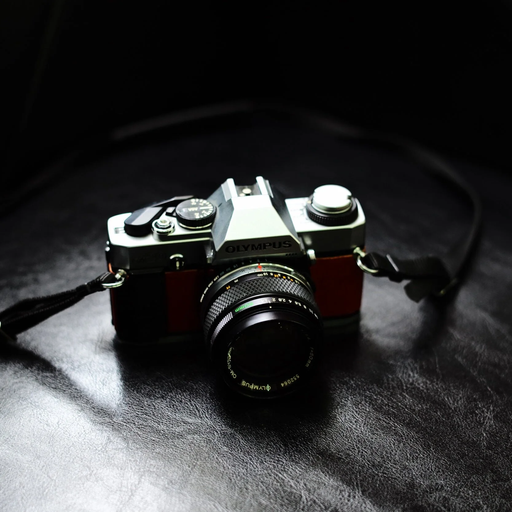 Die Top 5 besten Spiegelreflexkameras für Einsteiger