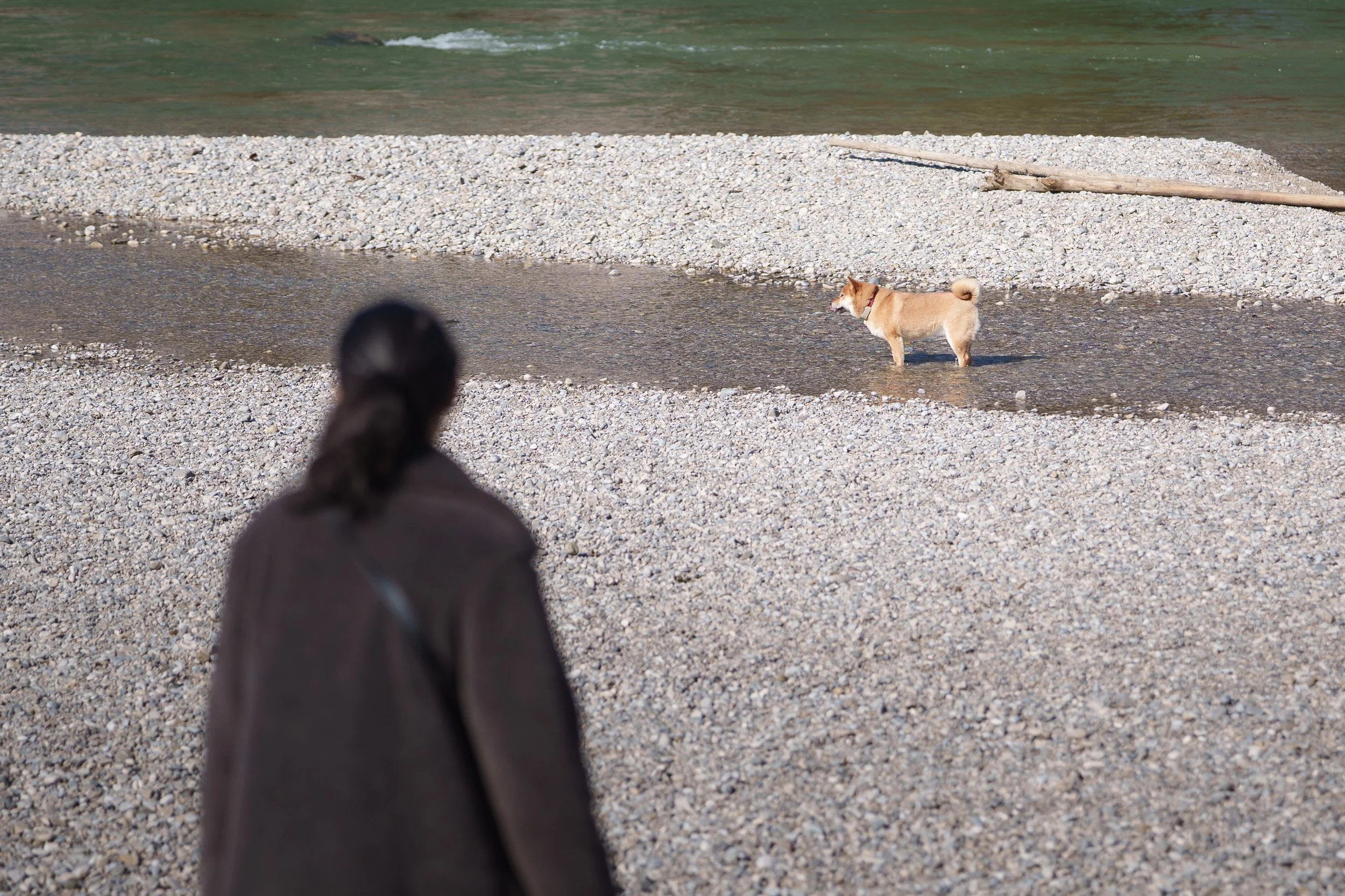 Das Problem von Fotografie Tipps auf Youtube