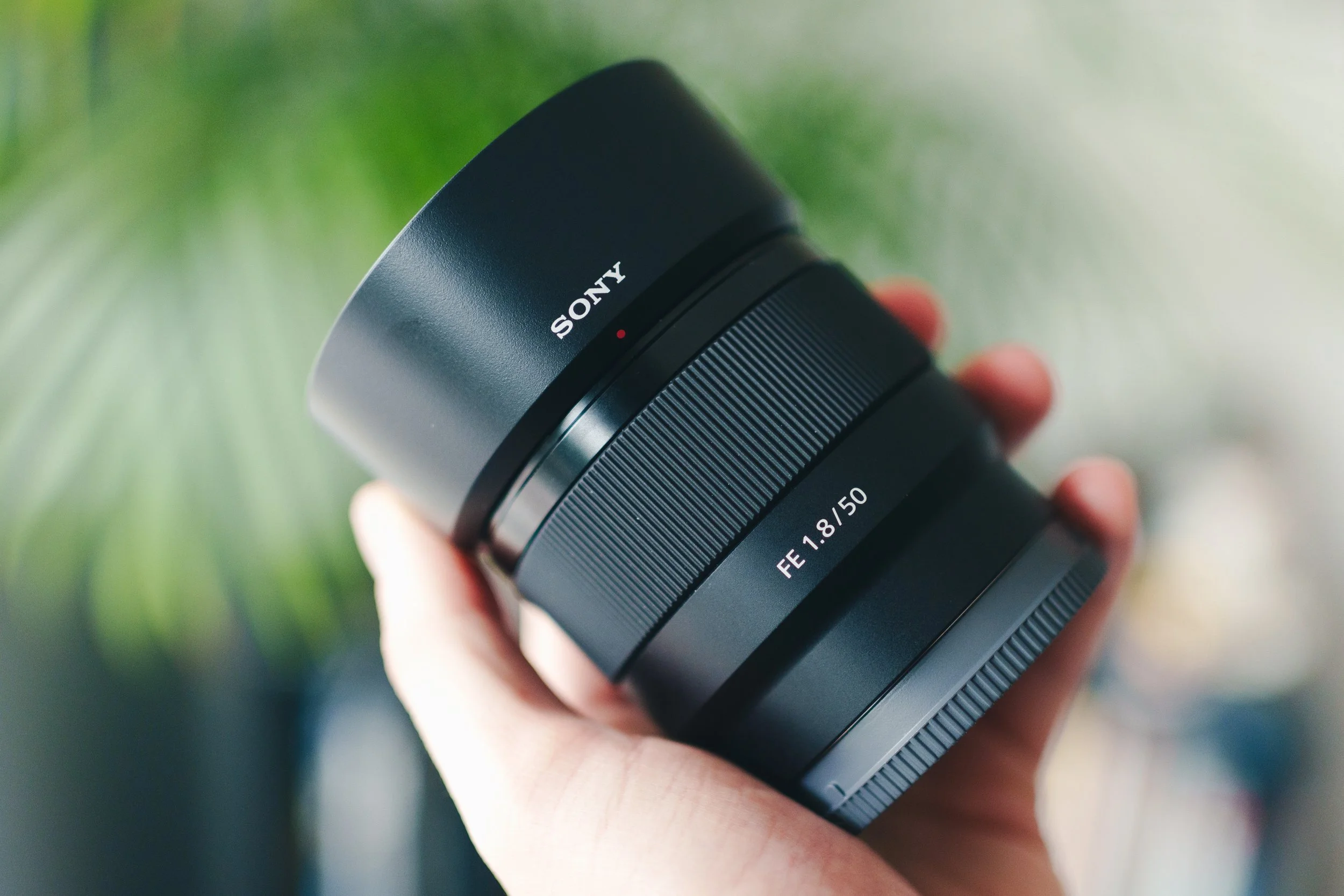 Mein Ersteindruck zum Sony 50mm f/1.8 Budgetobjektiv