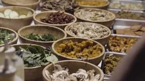 Vegan Nights April 2019