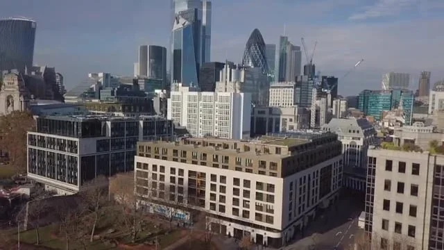 Blue Orchid Tower Suites