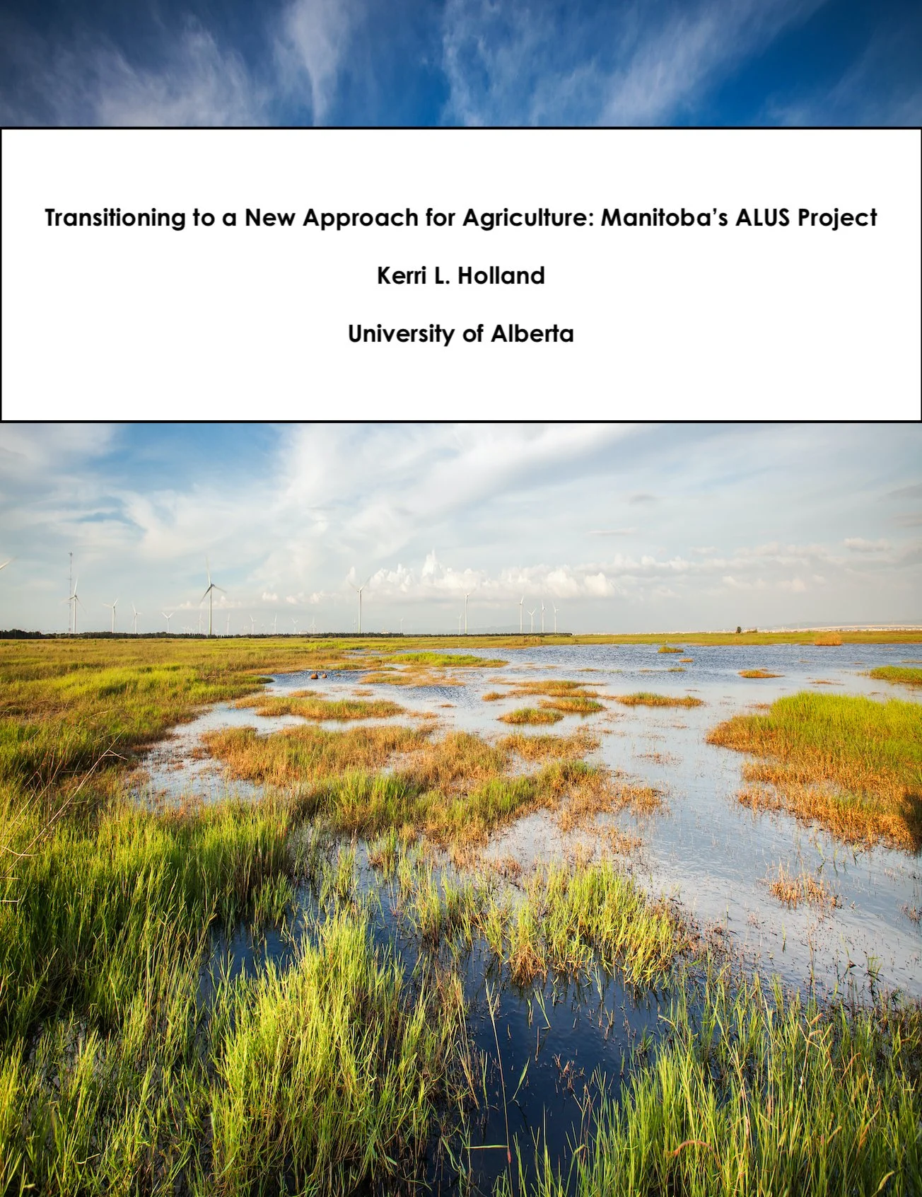 Dissertation Image.jpg