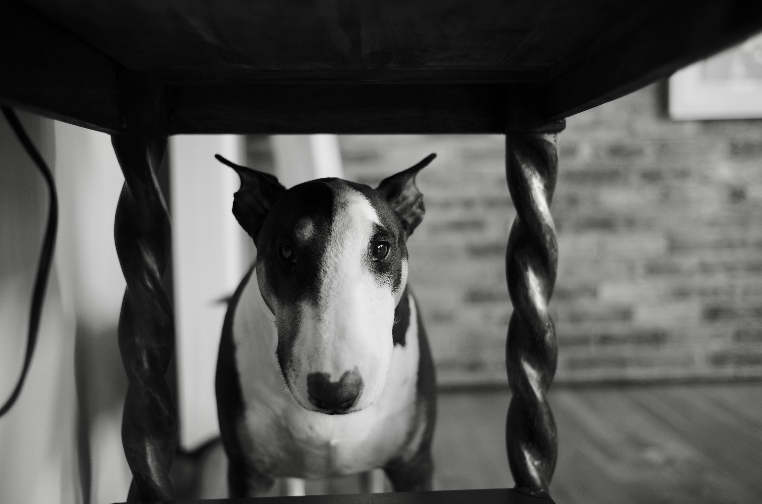 Edward through table.JPG