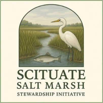 Scituate Salt Marsh Stewardship Initiative