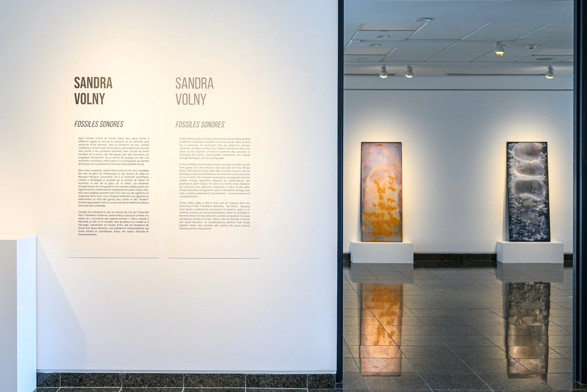 Fossiles sonores : la vallée des échos