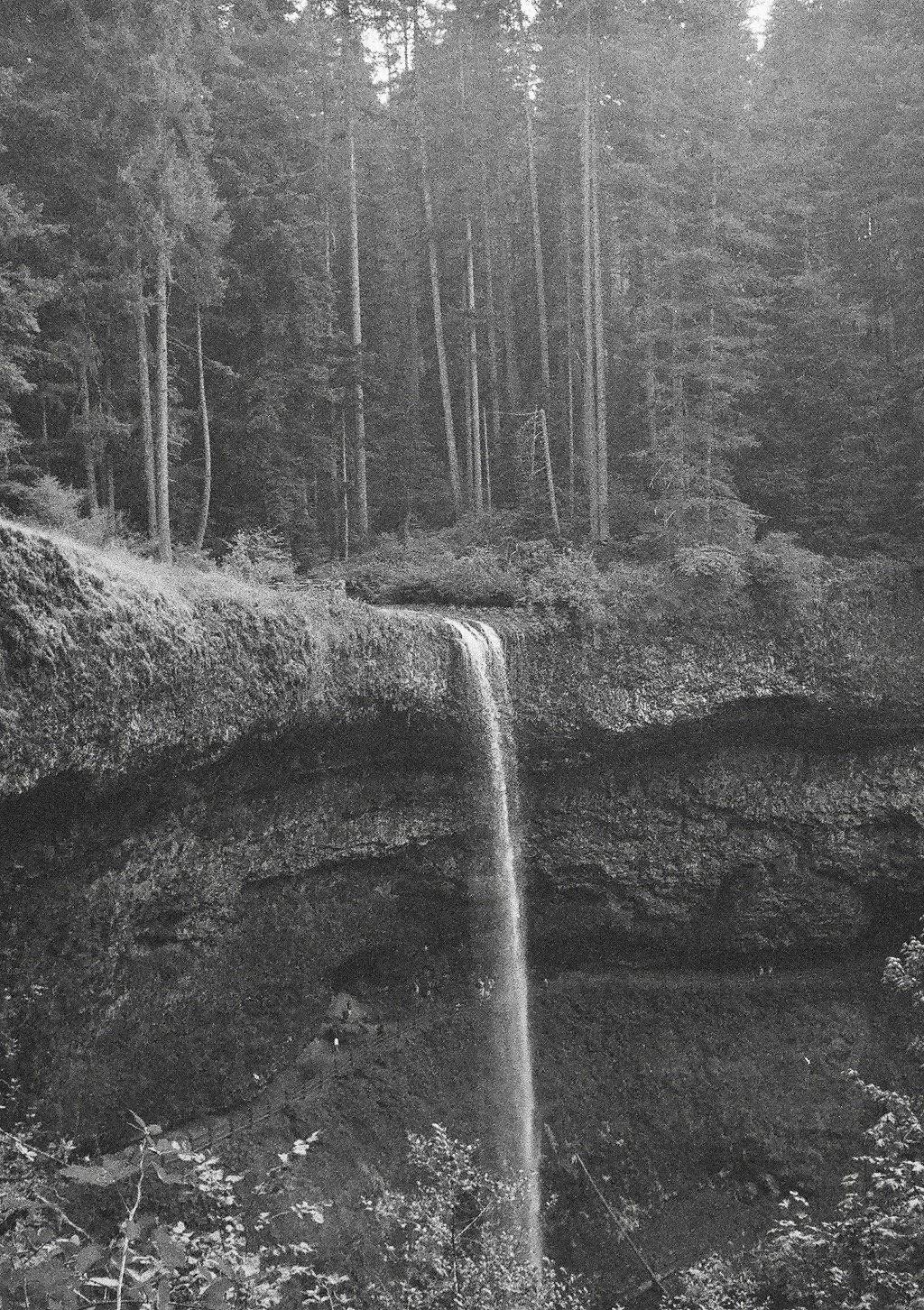 Lyrics — ALEXANDRA SAVIOR