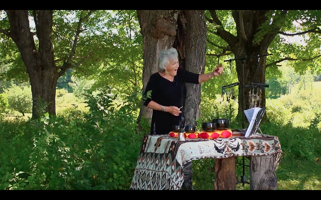 Botti's Bird Songs