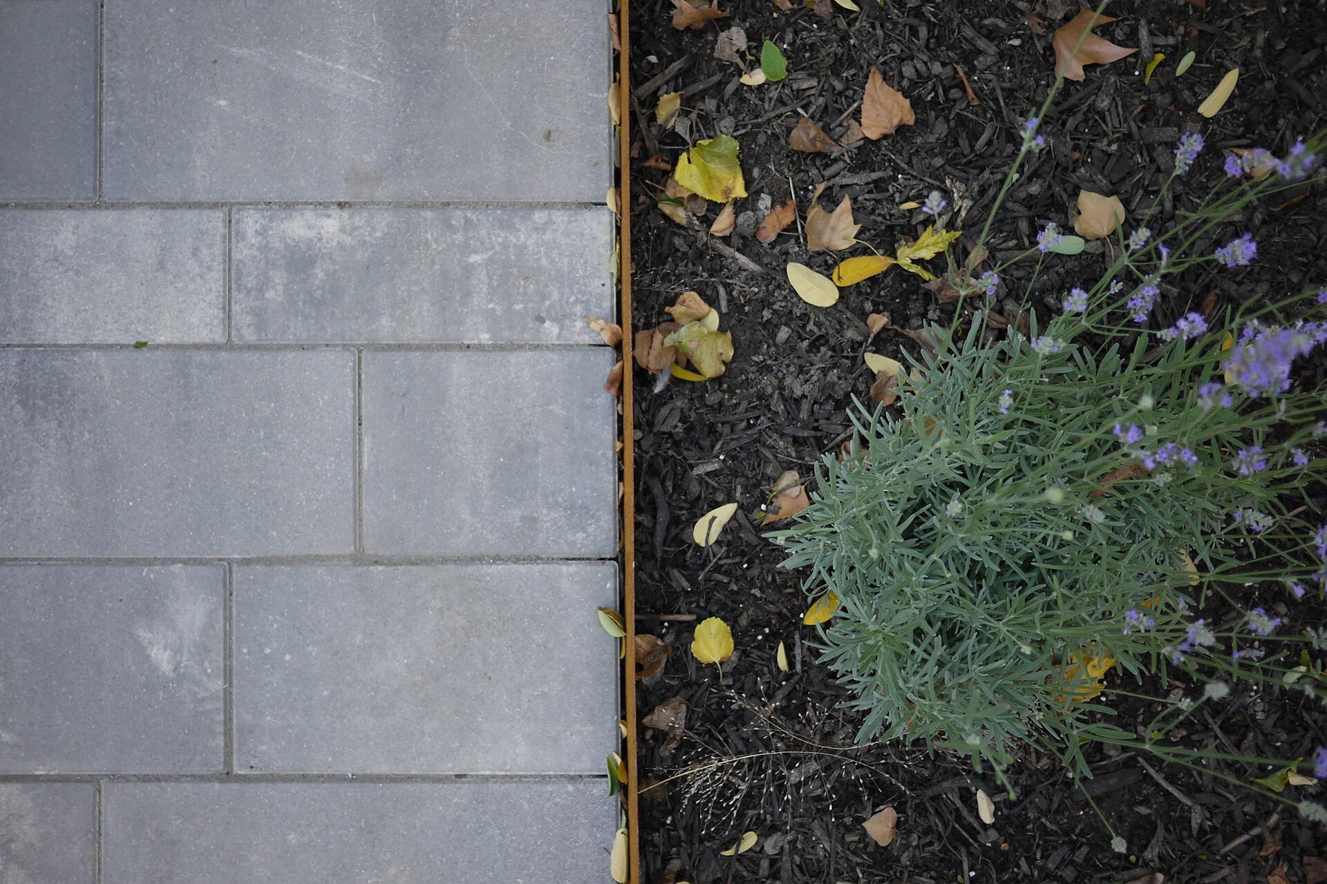 Garden-Detail-6.jpg
