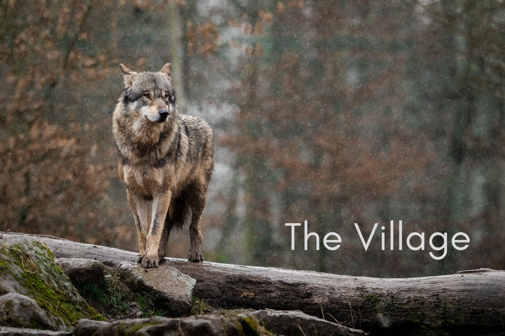 The Village
