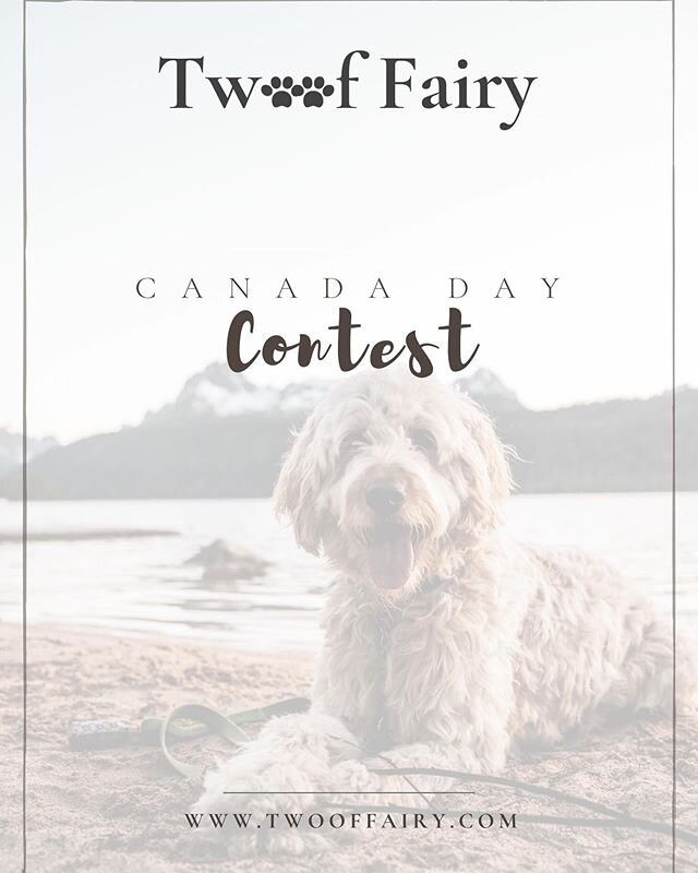 Hey Everyone! Please enter for your chance to win a Canada Day Prize Basket!! Canada Day bandanas and dental goodies, as well as some toys and treats! $75.00 Value and open to all Calgary and area residents who send a cute picture of their #doggo sho