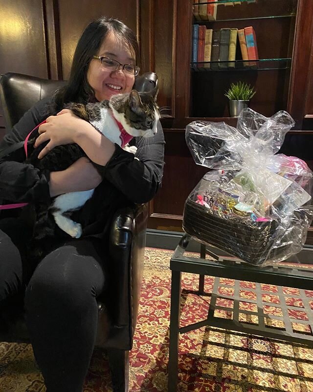 Congratulations again to Jil and Miss Maya the kitty kat. Maya will be passing judgment on the goodies later, but so far she is intrigued❤️😊 #calgaryprize #calgaryevents #petcare #calgary #smallbusiness #calgary #dogbusiness #prizes #calgarygroomer 