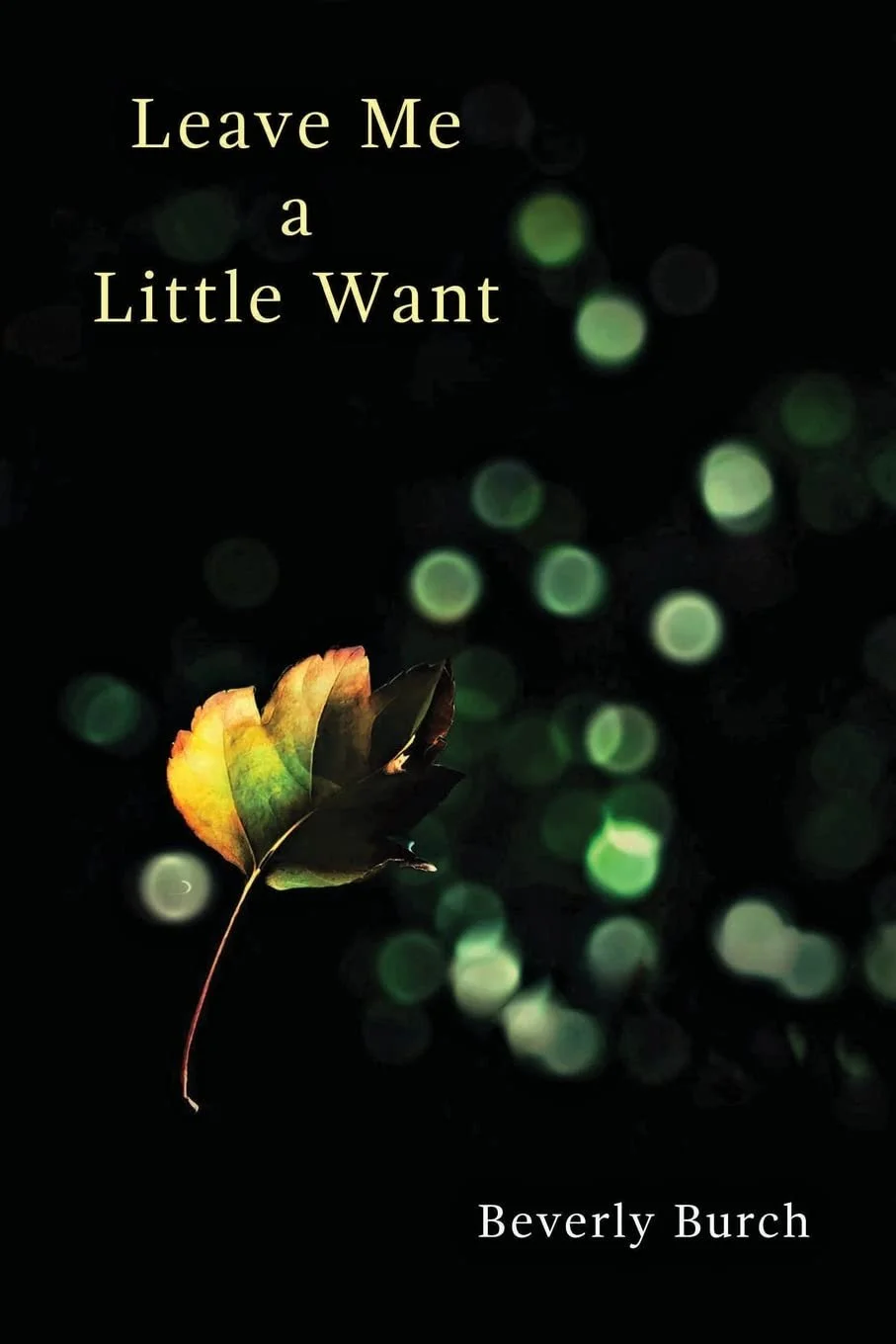Leave Me a Little Want Book Cover