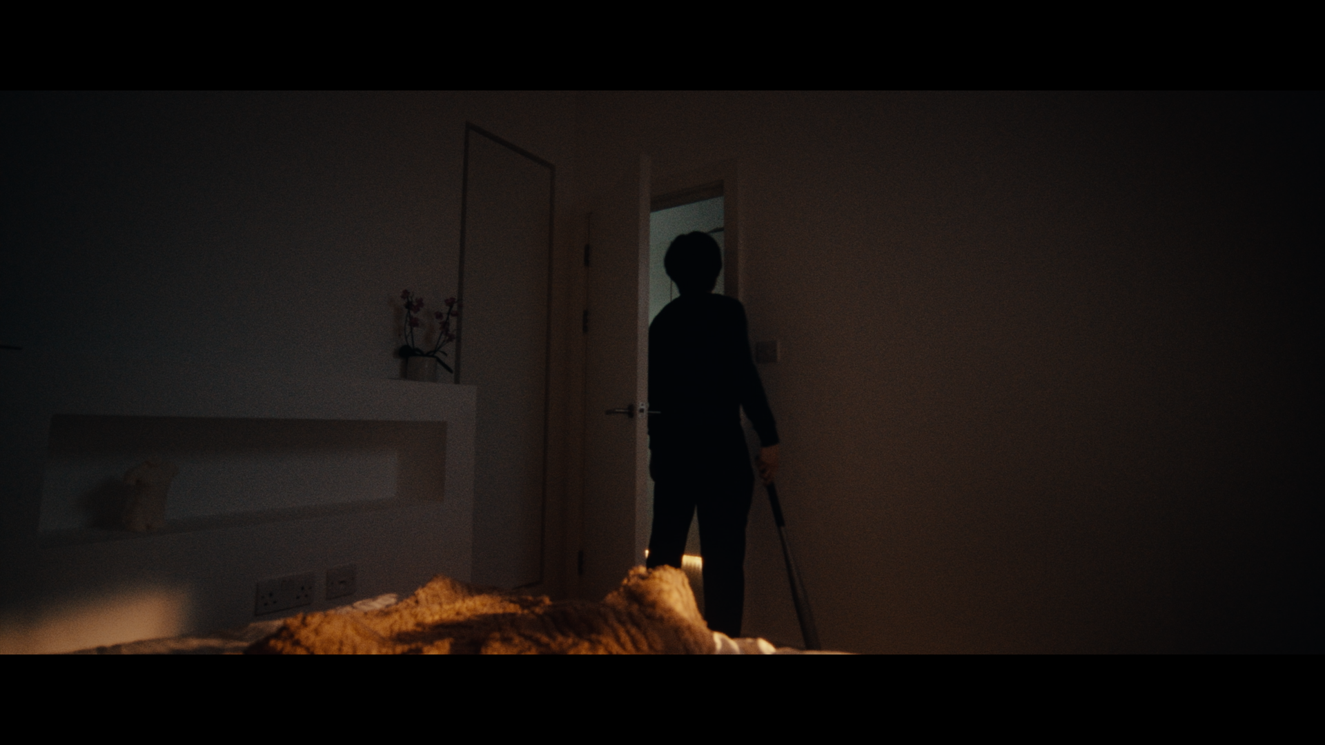 Timeline 1_01_17_05_09.png