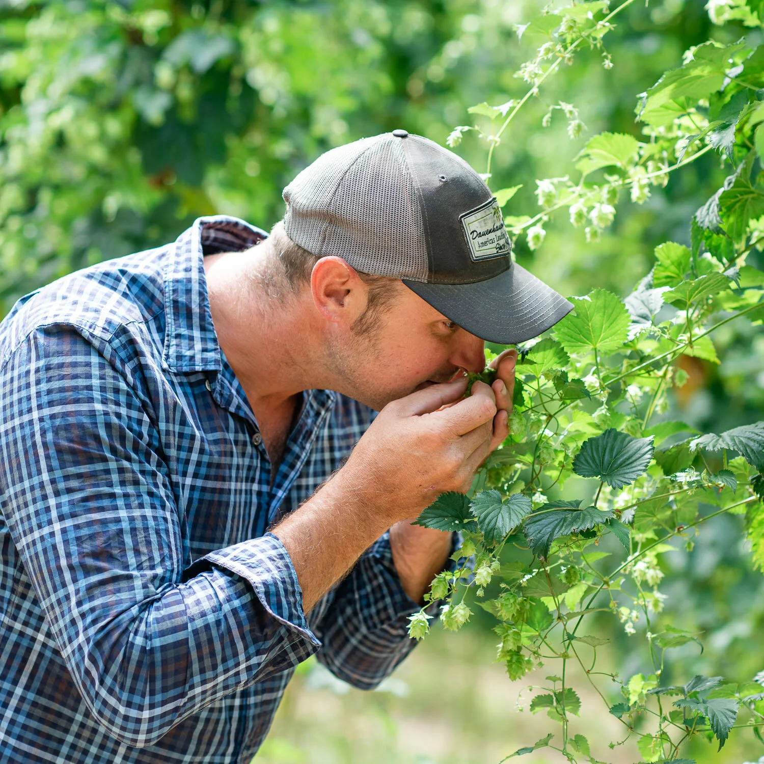 clayton-hops-new zealand031.jpg