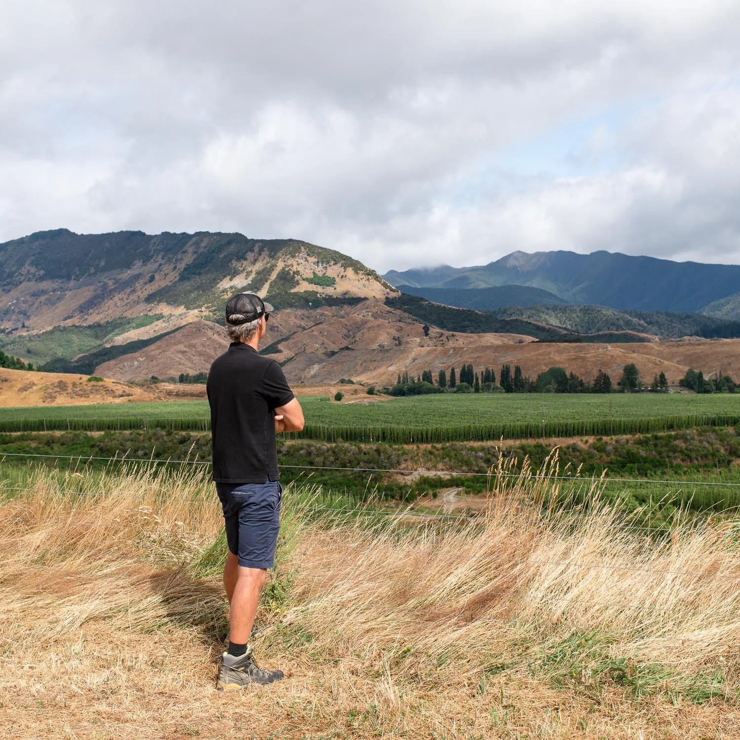 clayton-hops-new zealand033.jpg