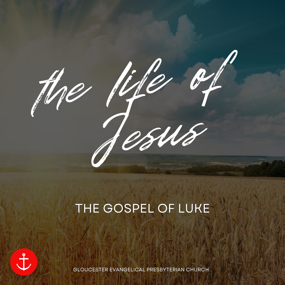 Luke 7:35—8:3