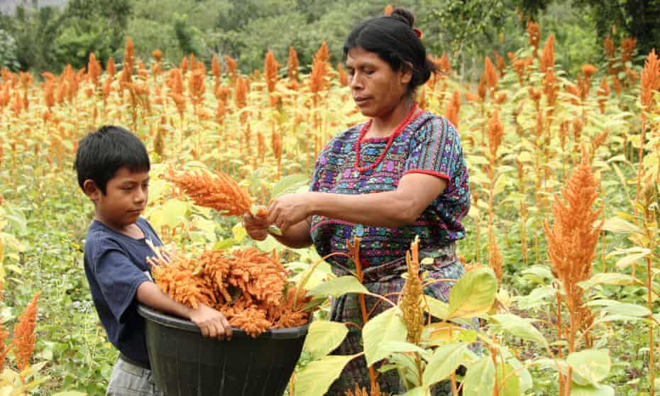 Maya Achi people in Rabinal: “A return to economies that existed before capitalism”