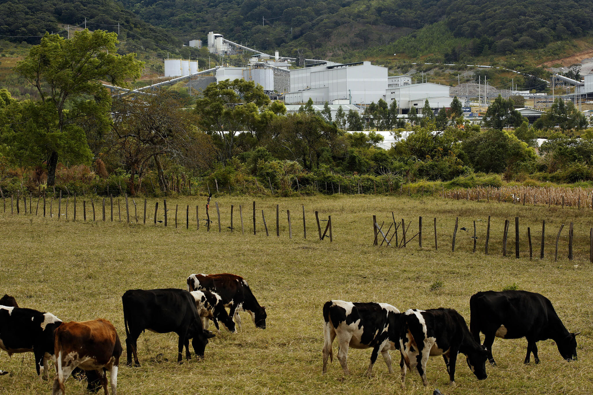 Pan American Silver (Minera San Rafael) demandada por danos a la comunidad de La Cuchilla