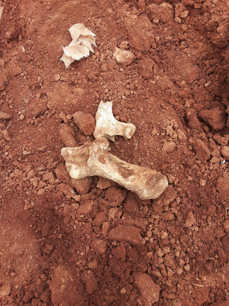 Robo clandestino por Aura Minerals (USA) de los muertos enterrados en el Cementerio de Azacualpa, y destruccion total del cementerio