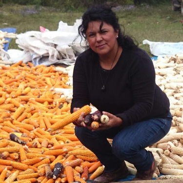 Criminal complaint against Dutch bank FMO for assassination of Berta Caceres in Honduras