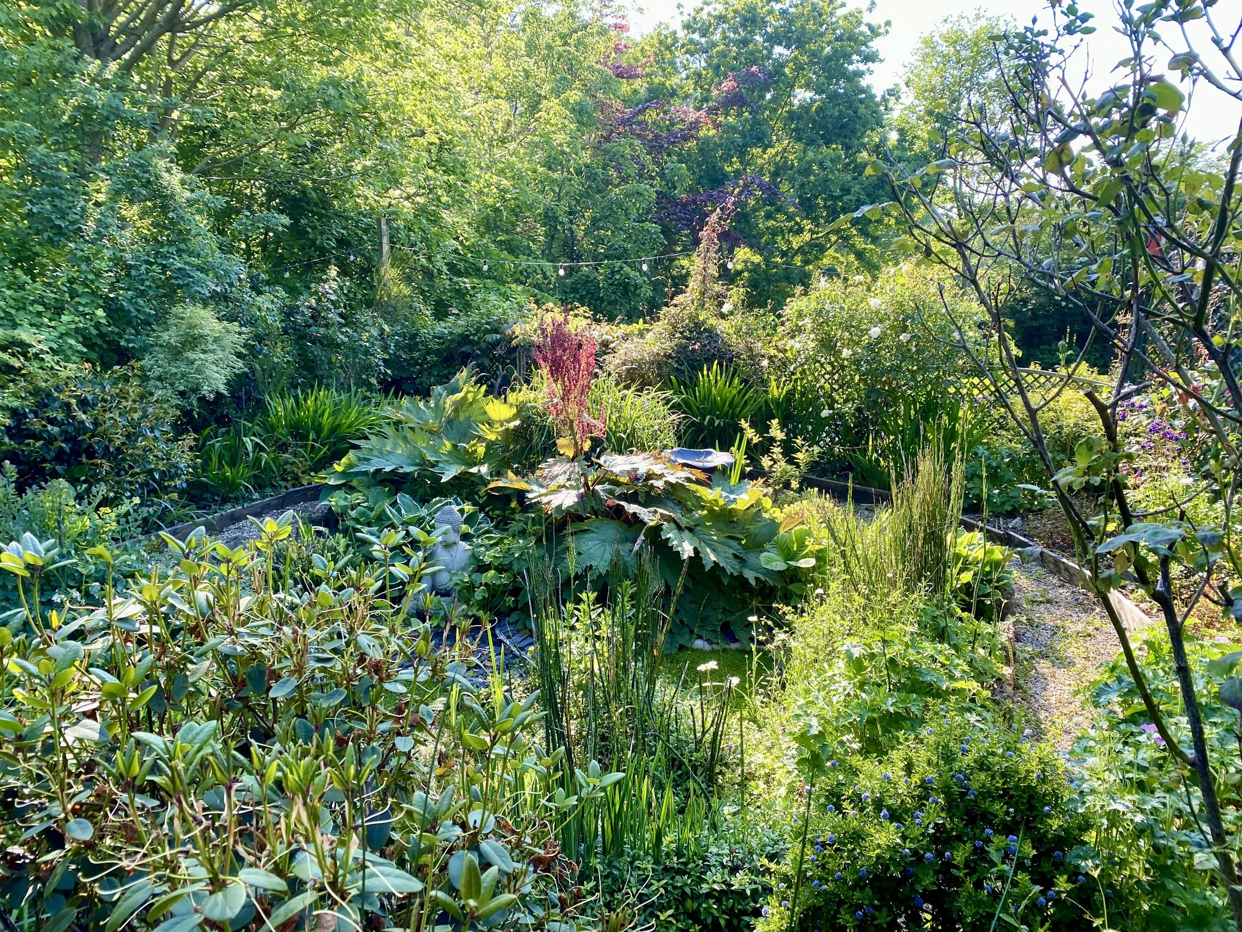 The luscious gardens at Spiritual Spa filled with leafy green plants, bright flowers and bathed it quiet tranquillity