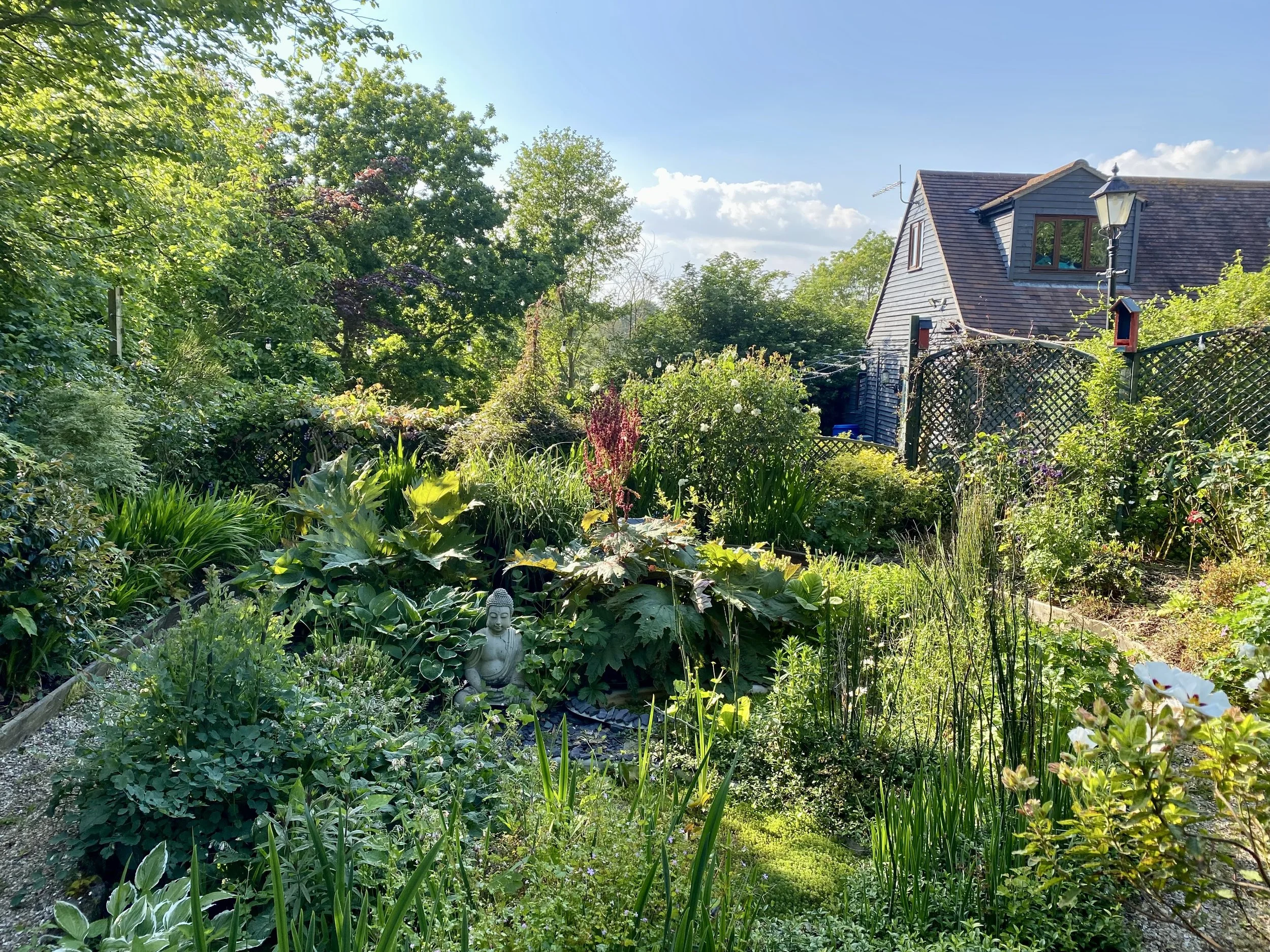 The wild garden at Spiritual Spa in Dorset, serene and beautiful.
