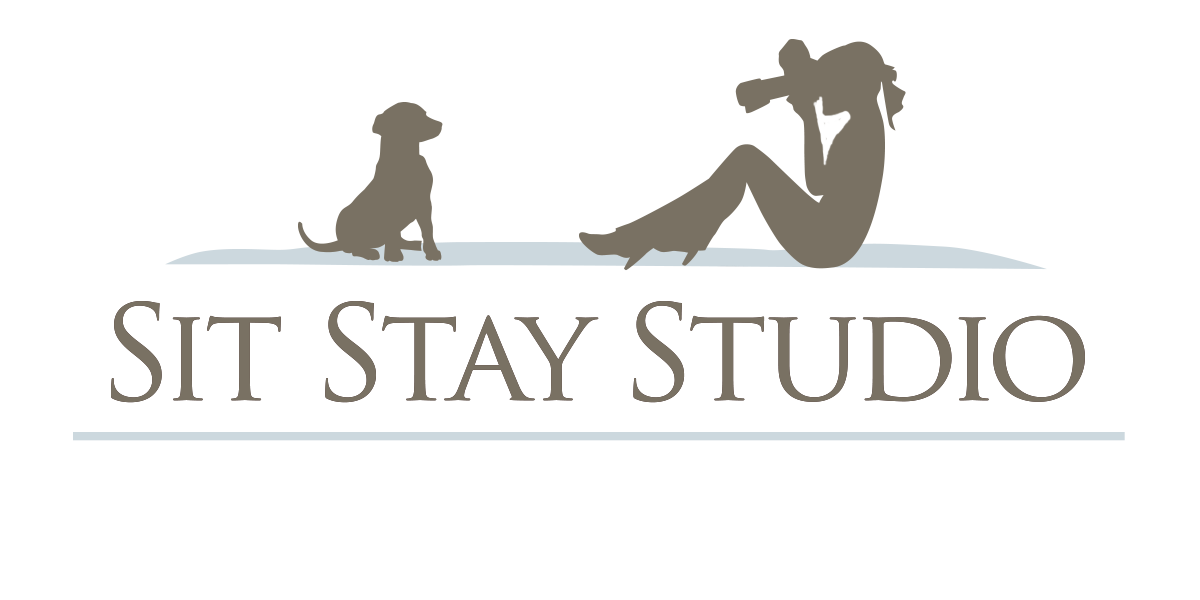 Sit Stay Studio