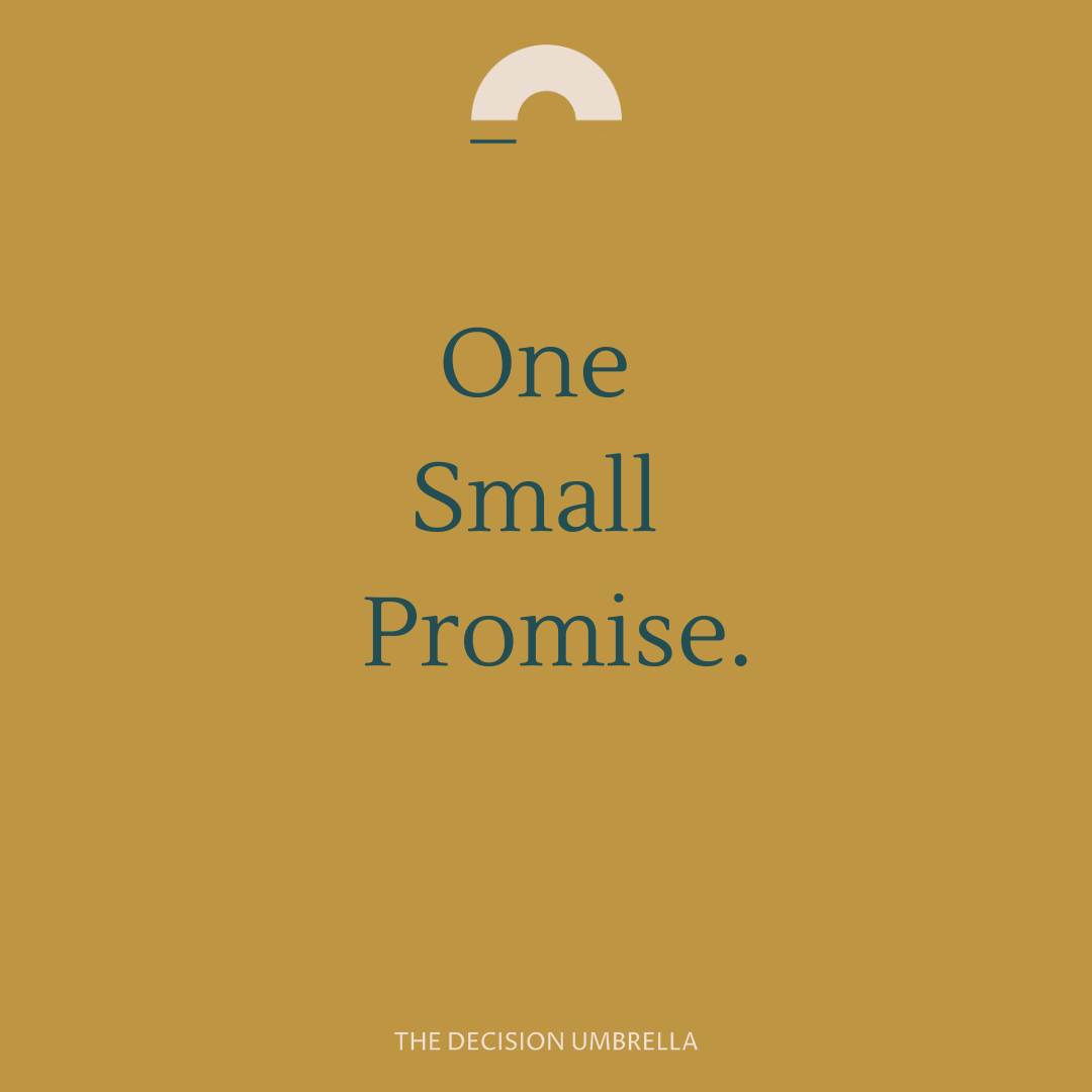 One Small Promise.