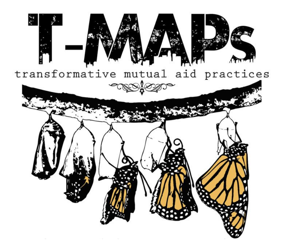 a butterly emerges from a cocoon in five stages