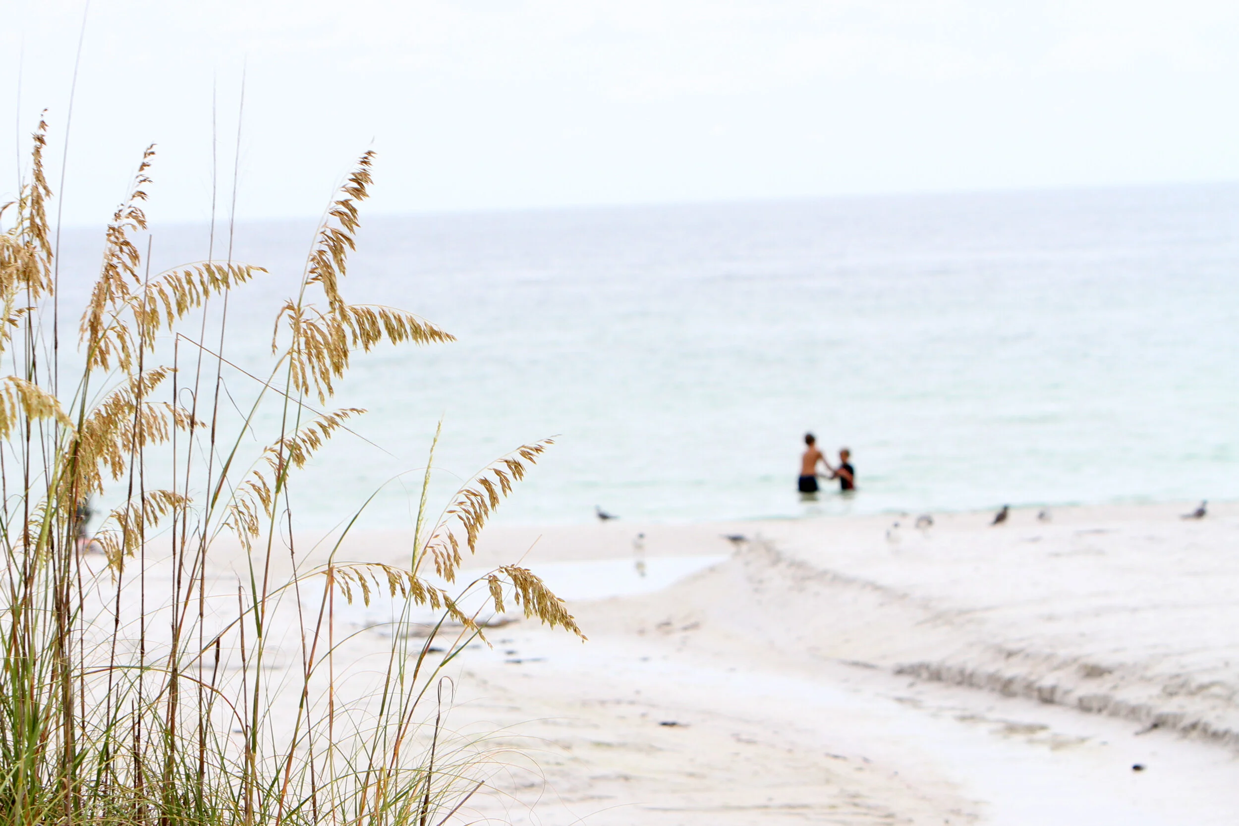 siesta key beach club siesta key beach club