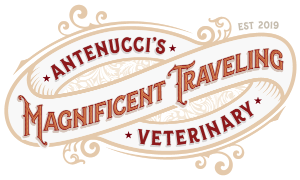 ANTENUCCI&#39;S MAGNIFICENT TRAVELING VETERINARY