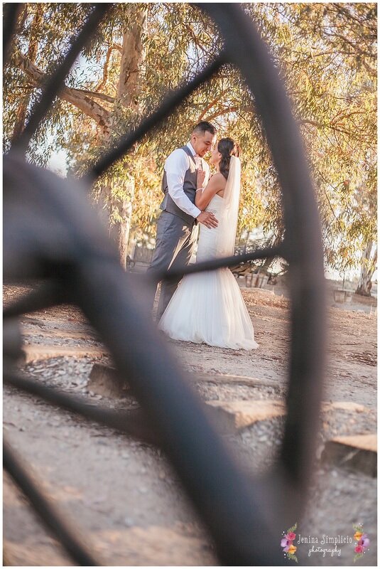  bride and groom seen through the wheel on the ranch 